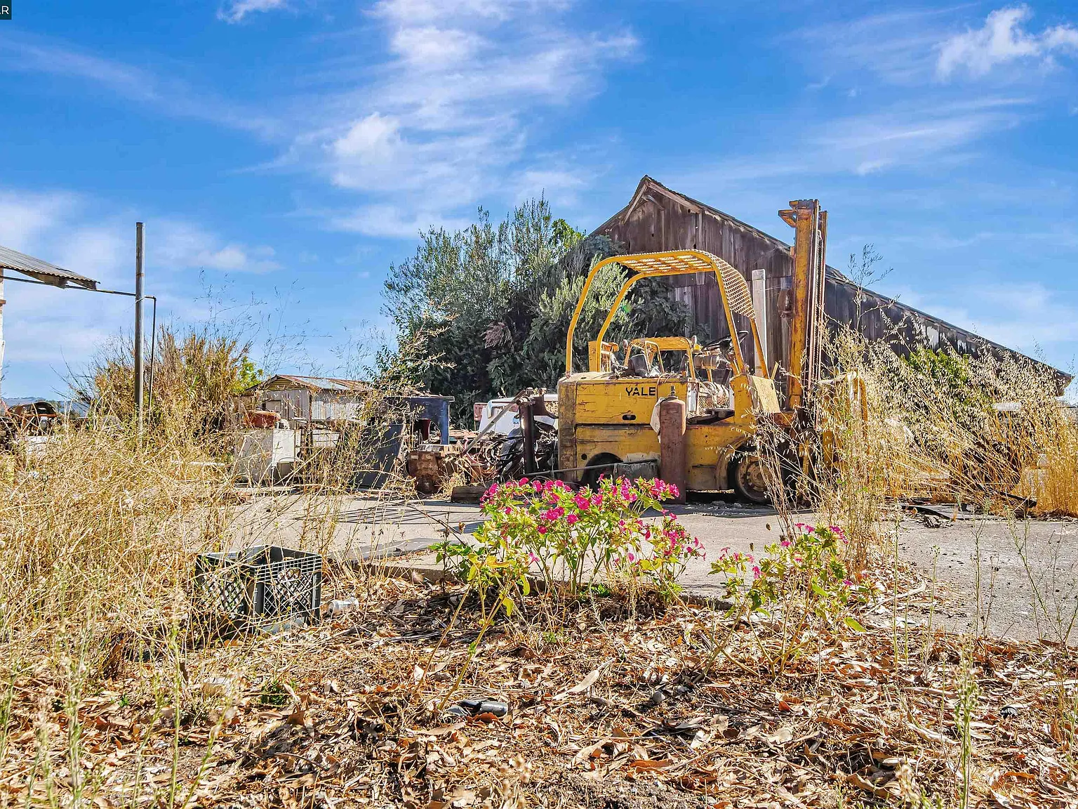 21200 Silva Rd - Photo 5