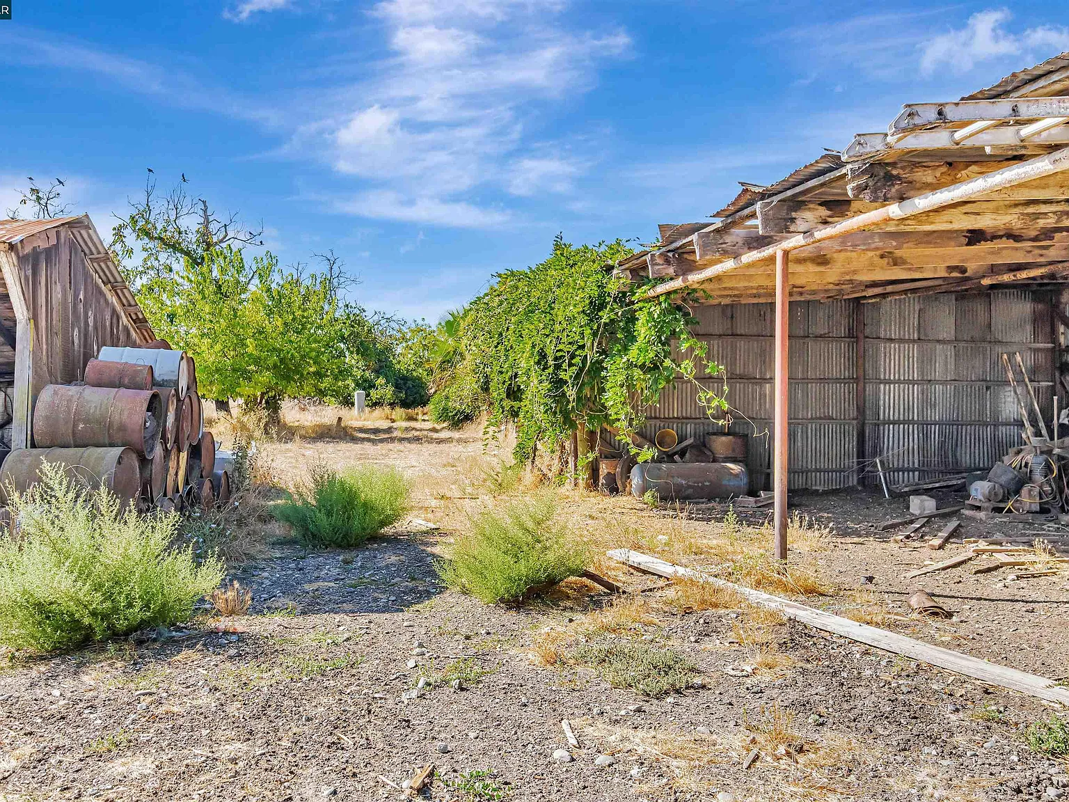 21200 Silva Rd - Photo 6
