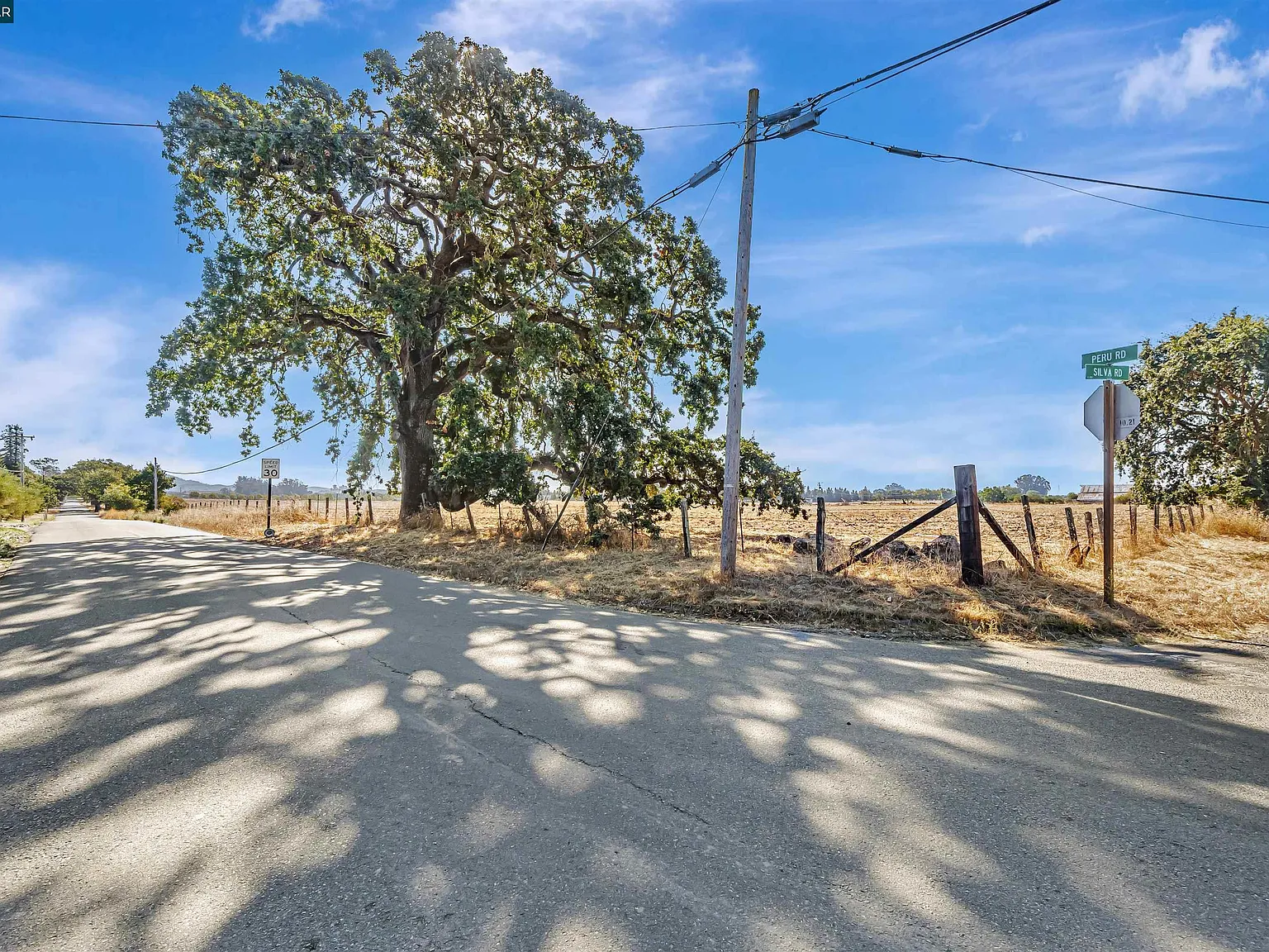 21200 Silva Rd - Photo 8