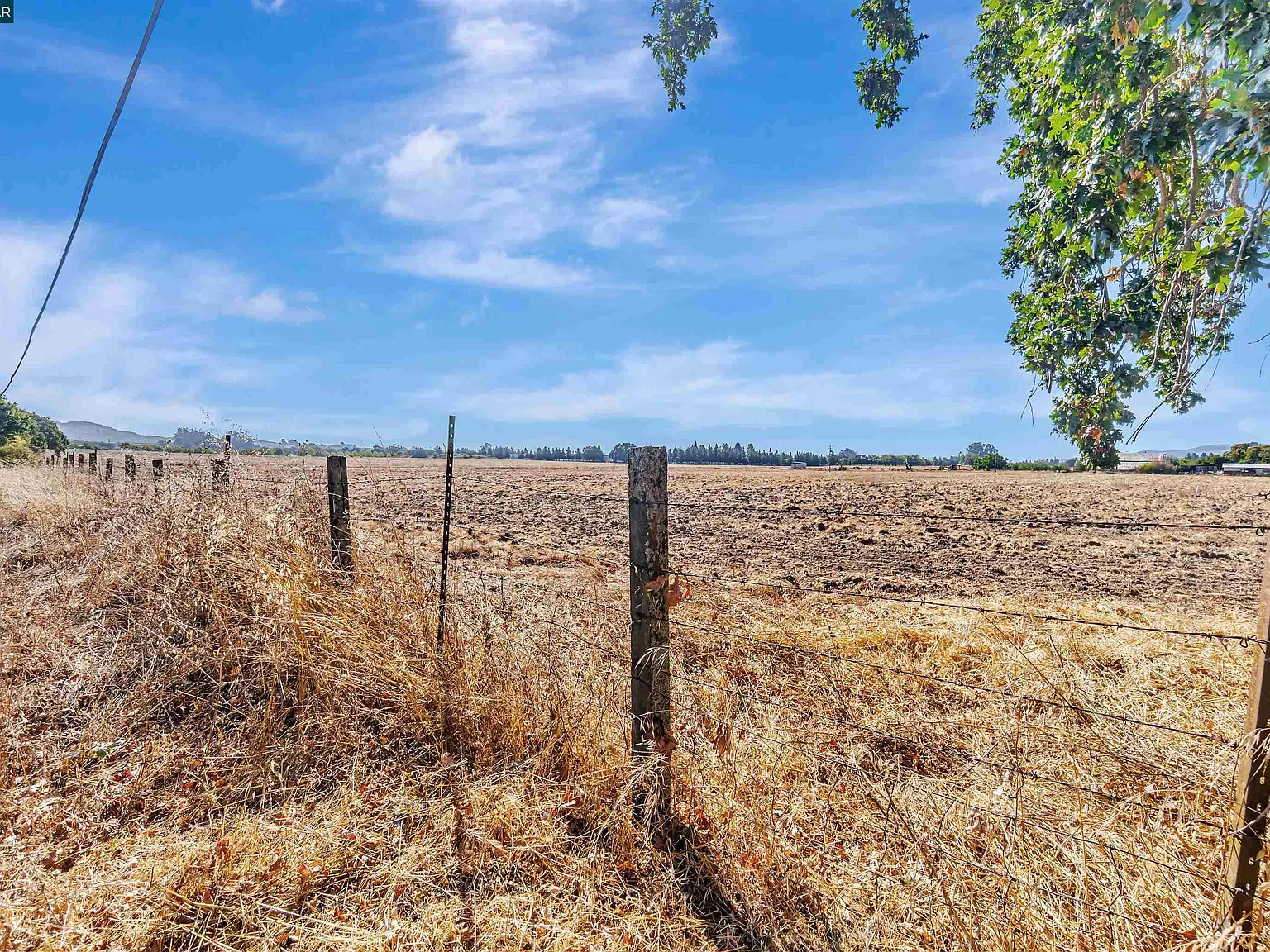 21200 Silva Rd - Photo 10