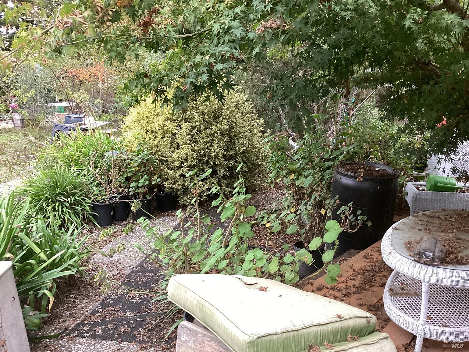 317 Windflower Court - Photo 10