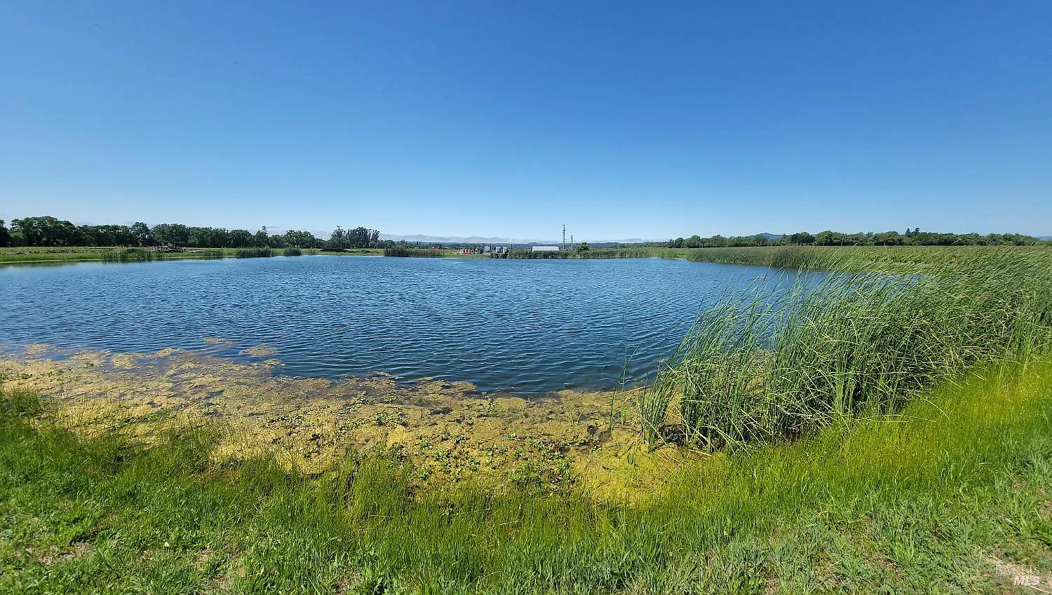 2705 River Road - Photo 3