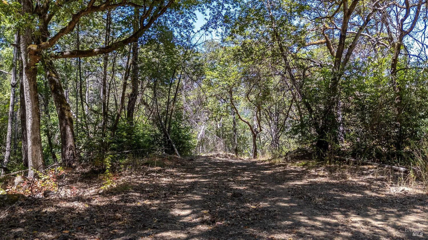 5364 Mill Creek Road - Photo 12