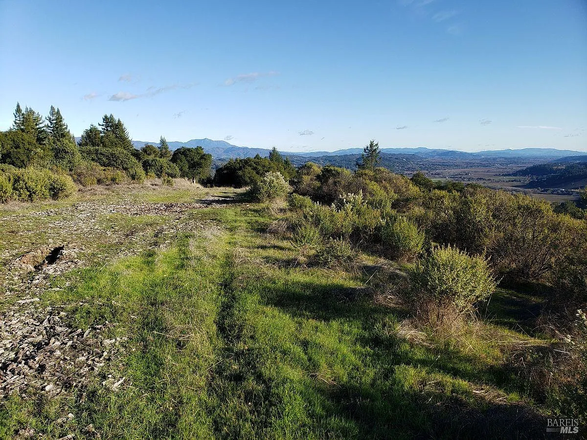 9695 Dry Creek Road - Photo 4