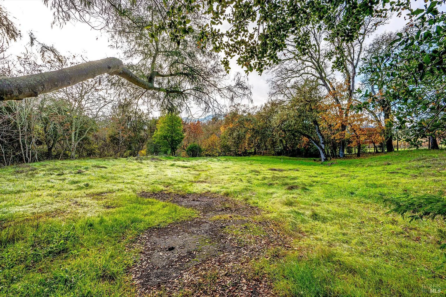 1055 Heaven Hill Road - Photo 2