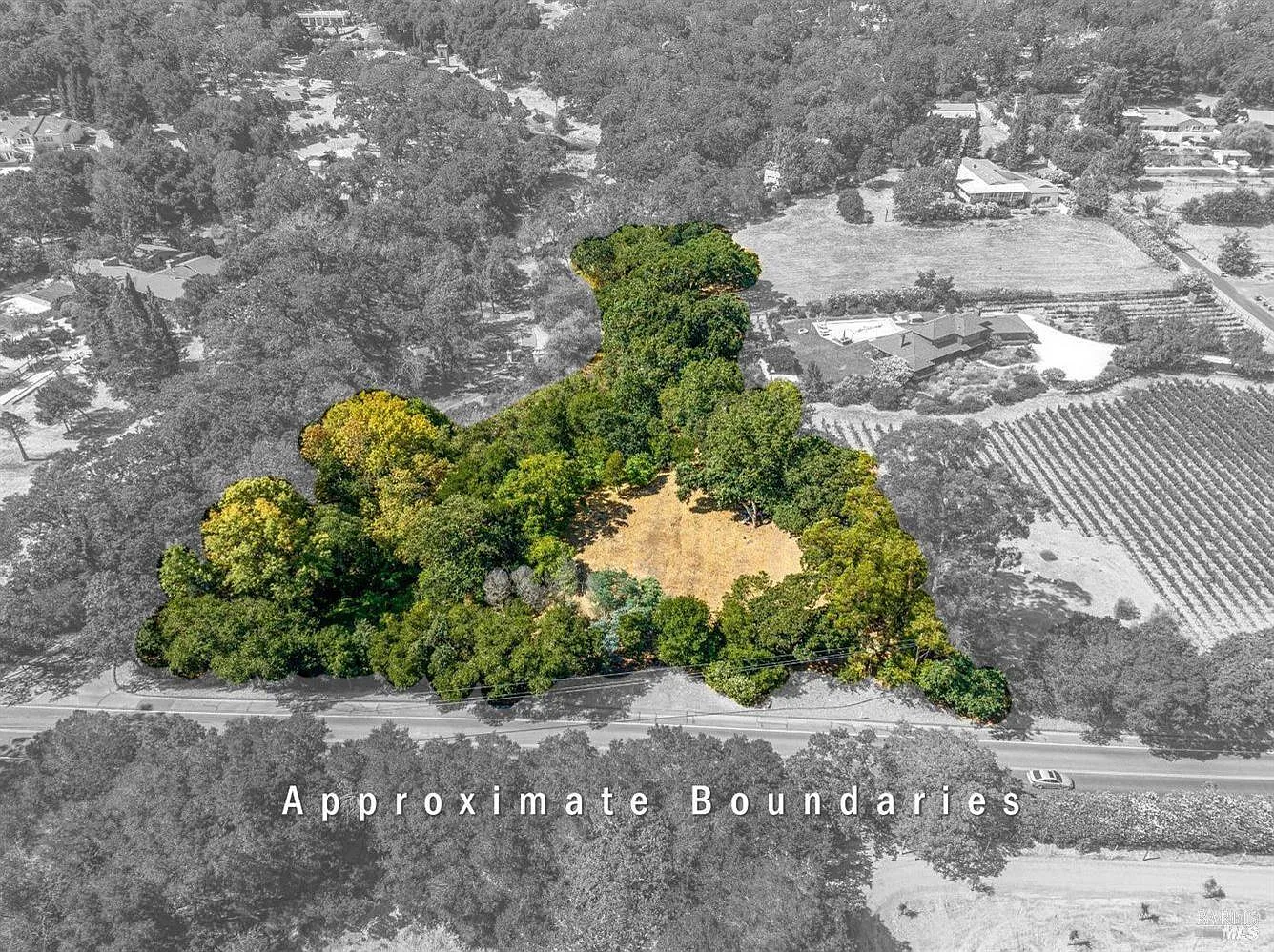 1055 Heaven Hill Road - Photo 11