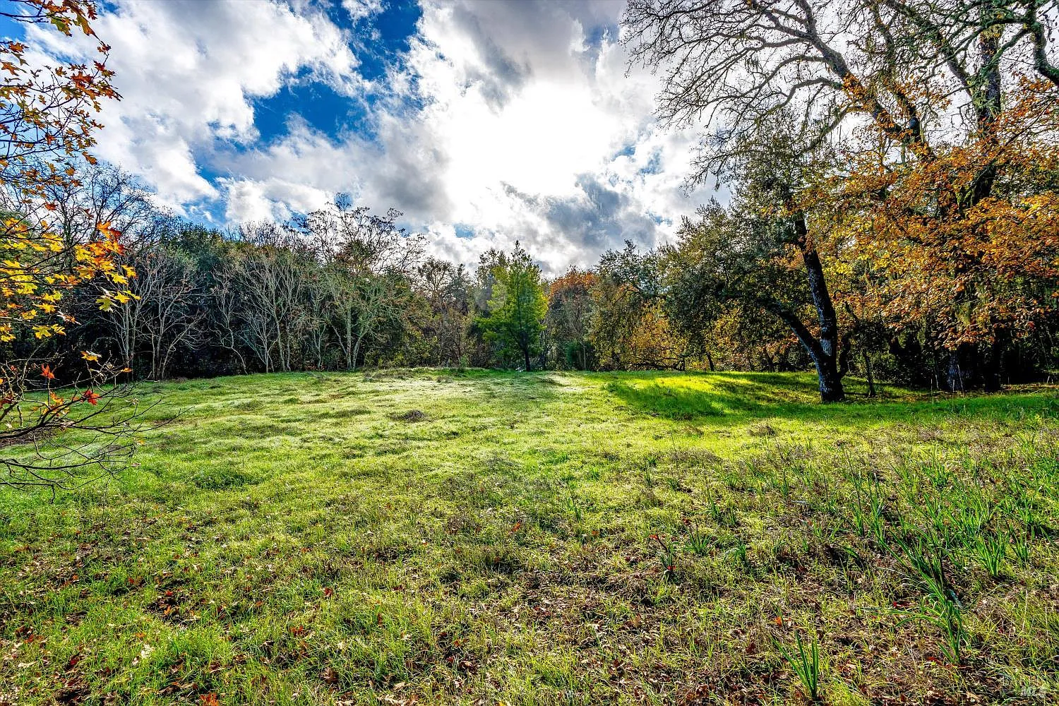 1055 Heaven Hill Road - Photo 3