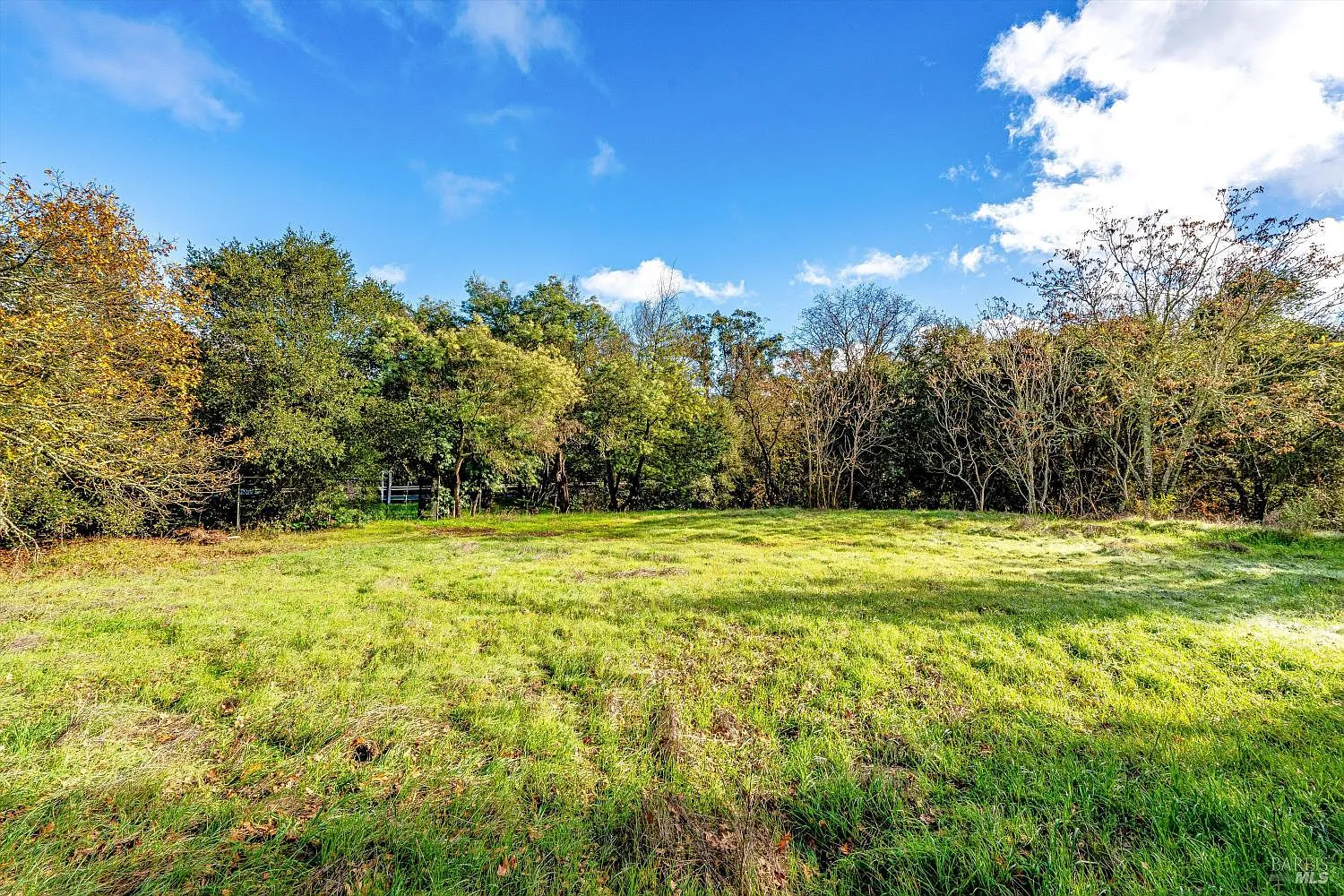 1055 Heaven Hill Road - Photo 4