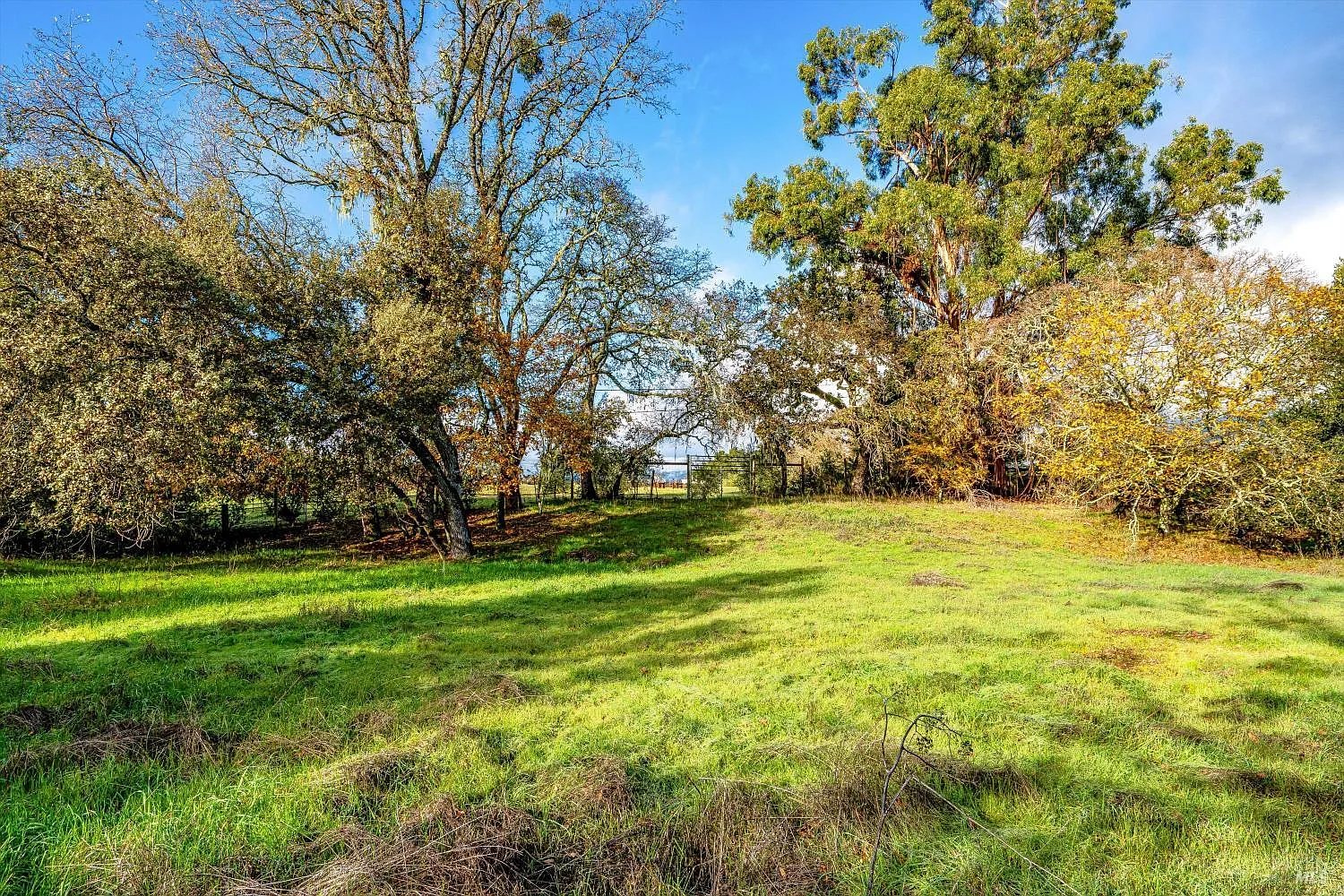 1055 Heaven Hill Road - Photo 5
