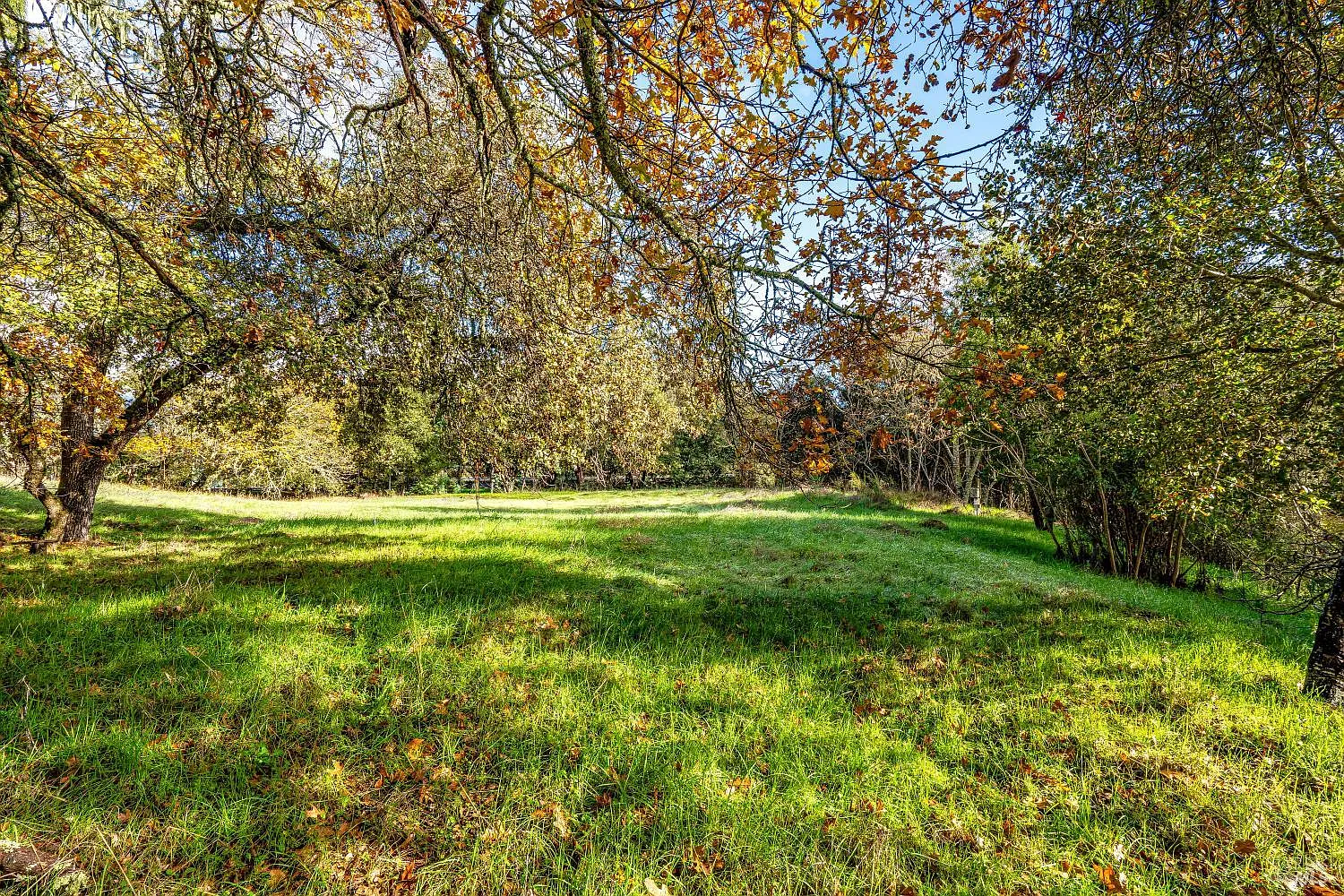 1055 Heaven Hill Road - Photo 6