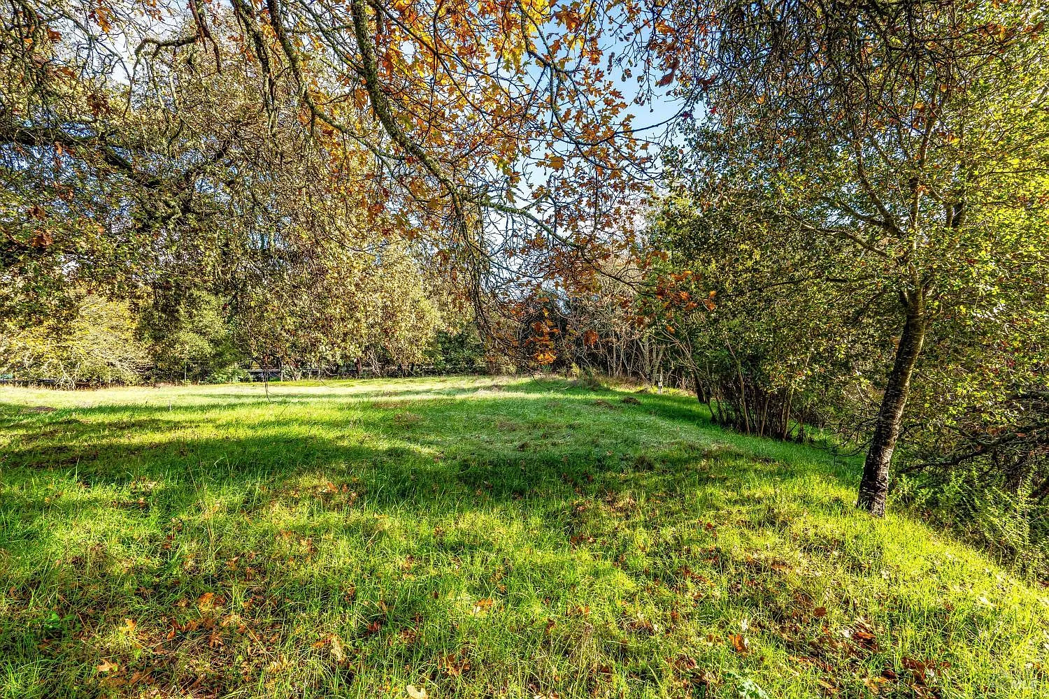 1055 Heaven Hill Road - Photo 7
