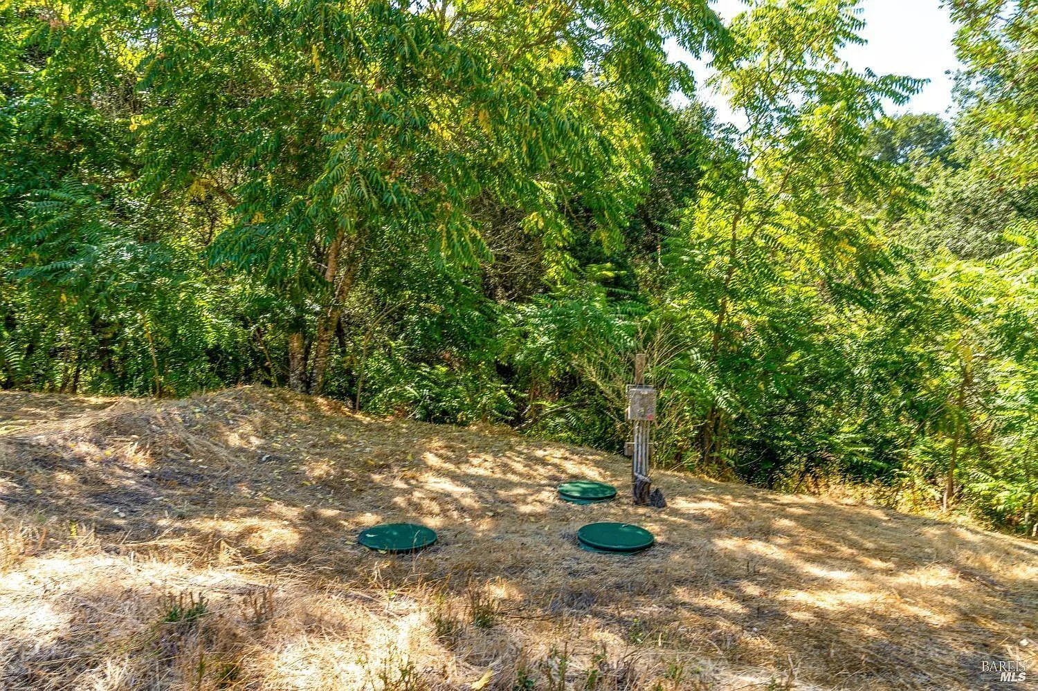 1055 Heaven Hill Road - Photo 8