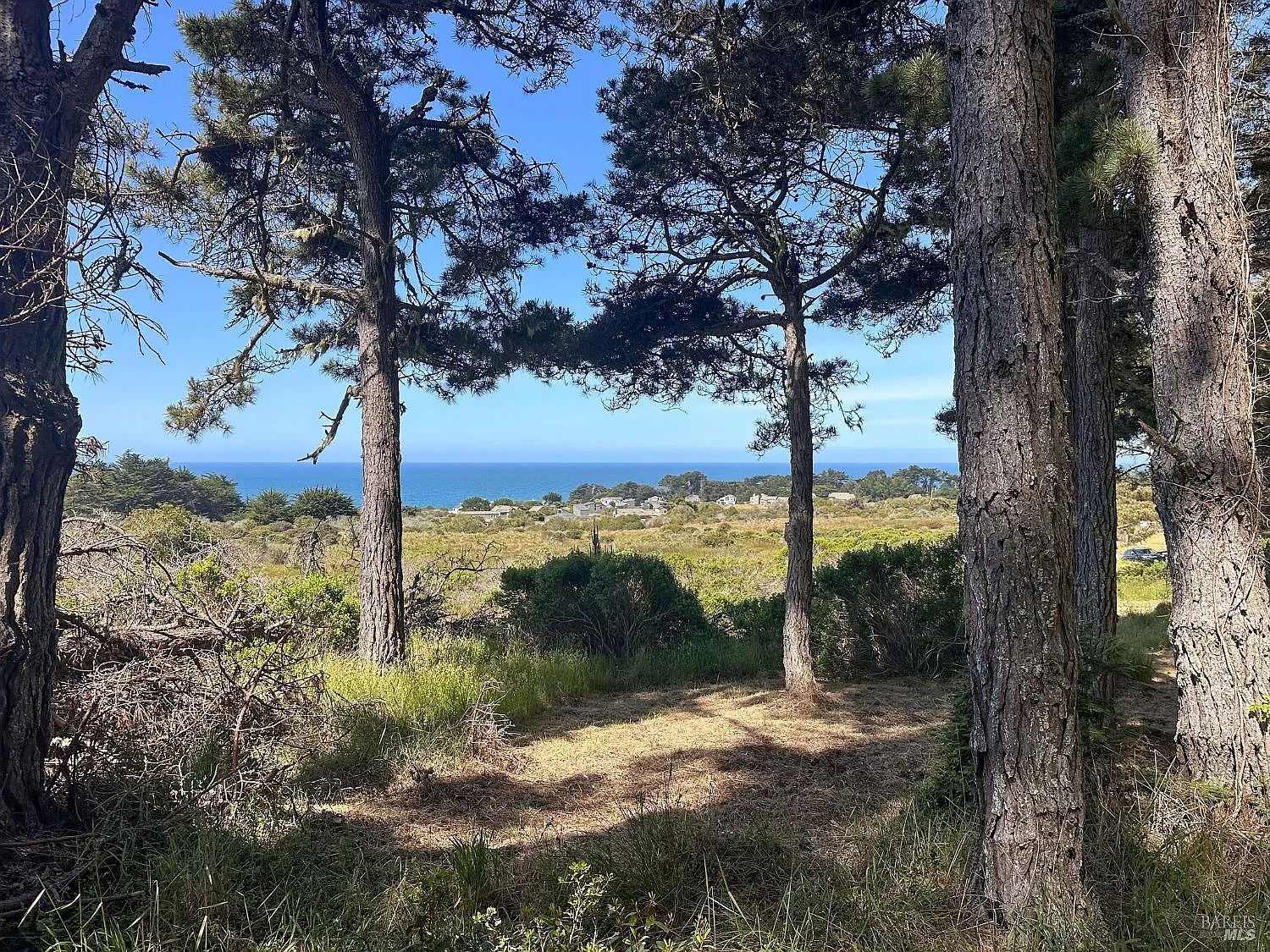 35995 Highway 1 - Photo 1