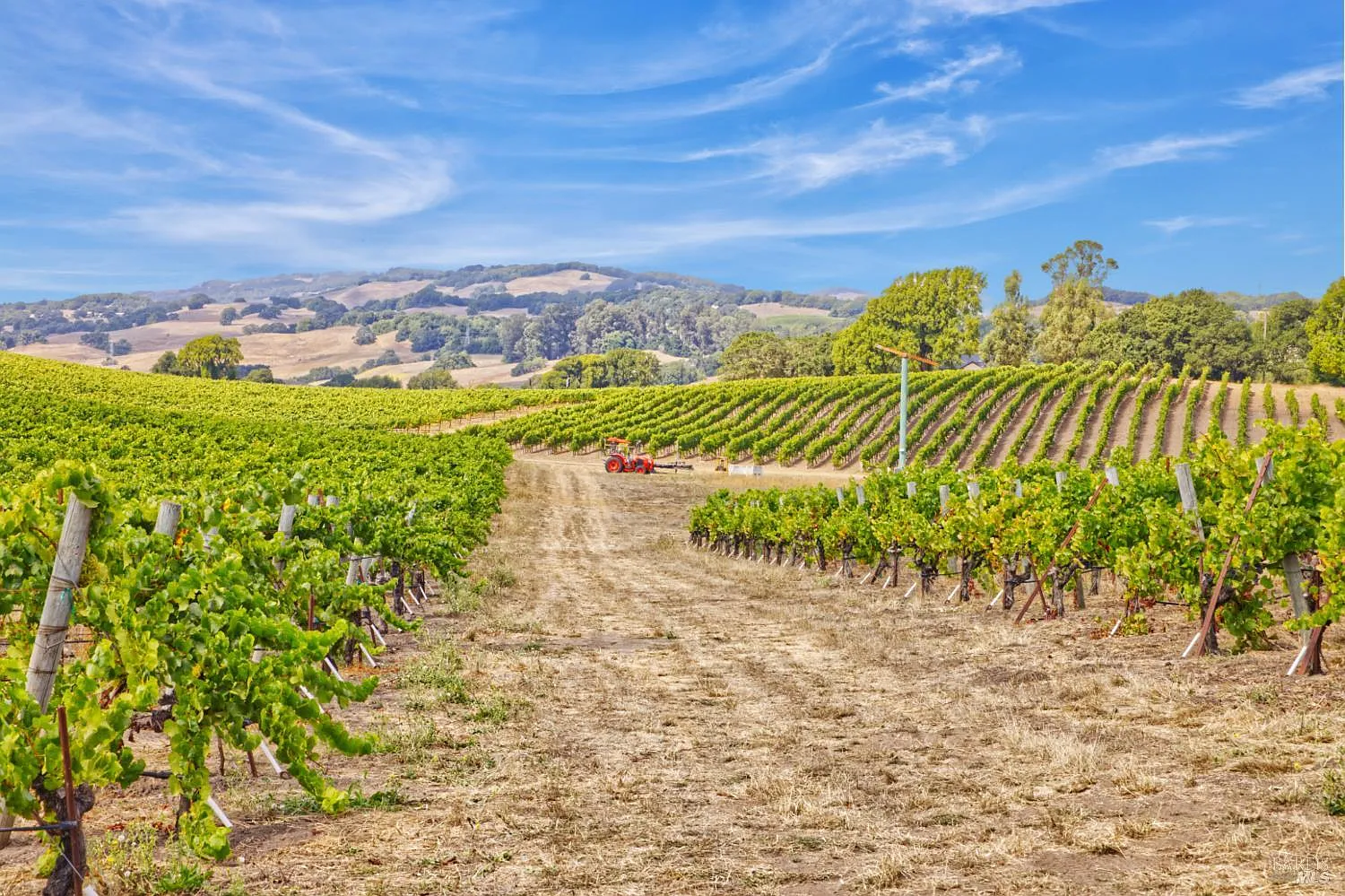 1450 Stage Gulch Road - in Petaluma, CA