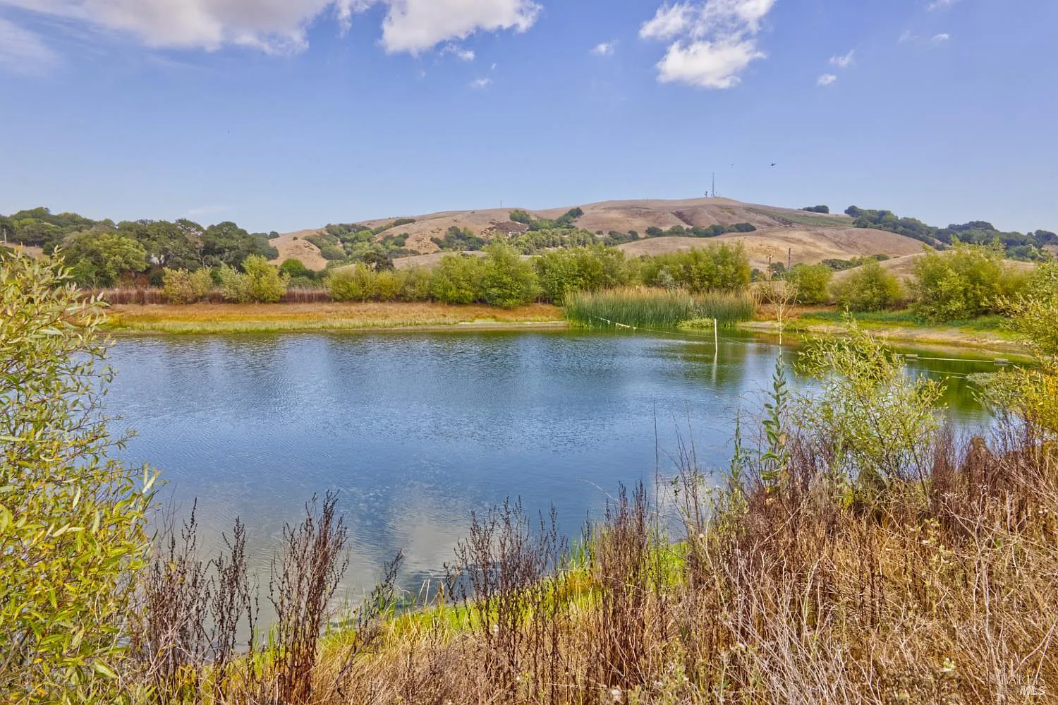 1450 Stage Gulch Road - Photo 6