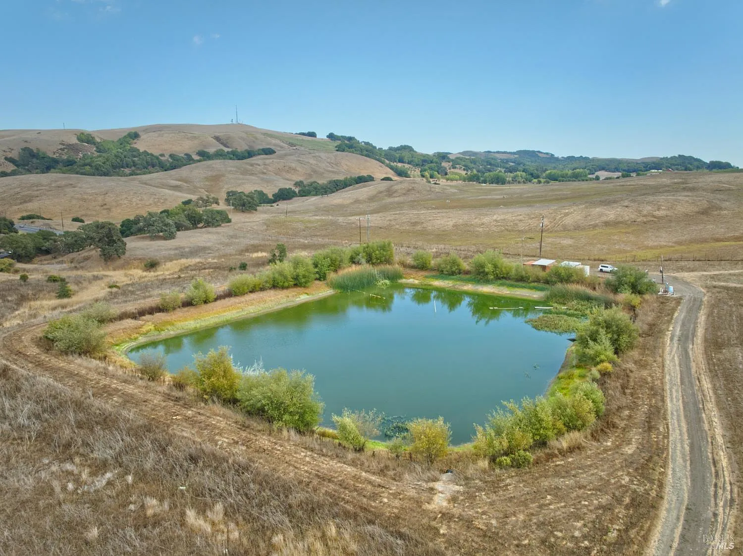 1450 Stage Gulch Road - Photo 7