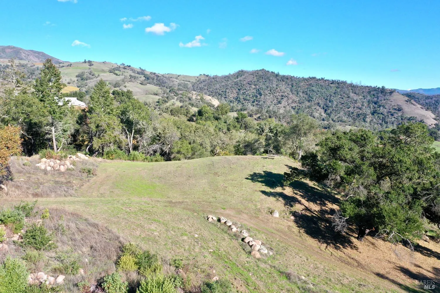 577 Artisan Circle - Photo 3