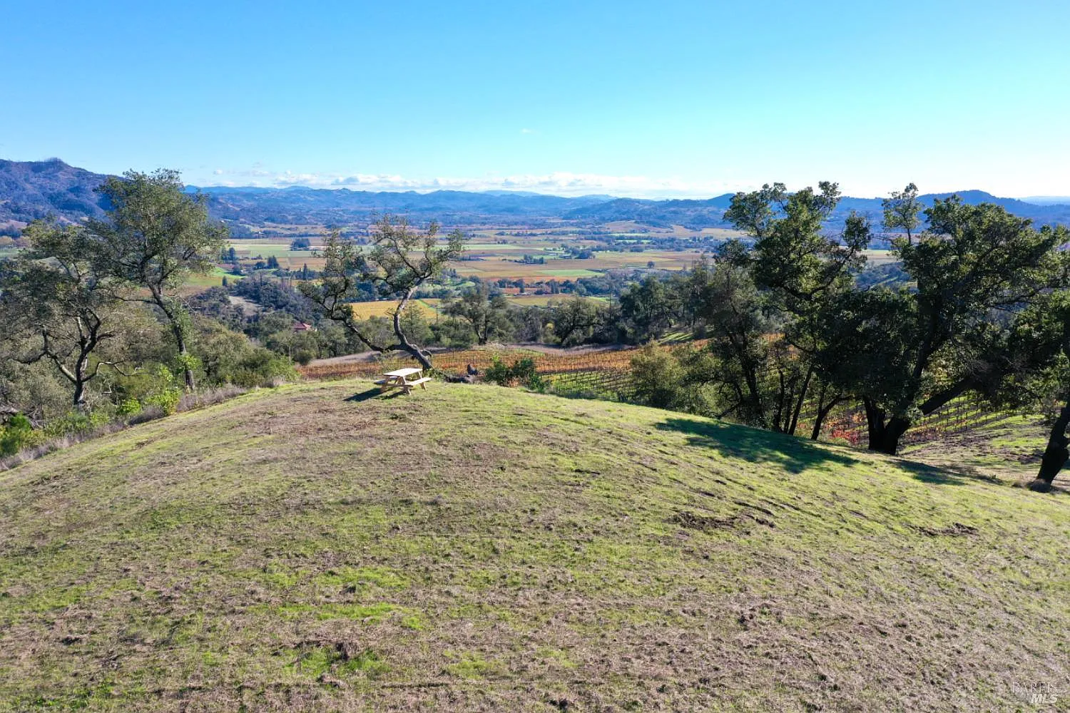 577 Artisan Circle - Photo 4