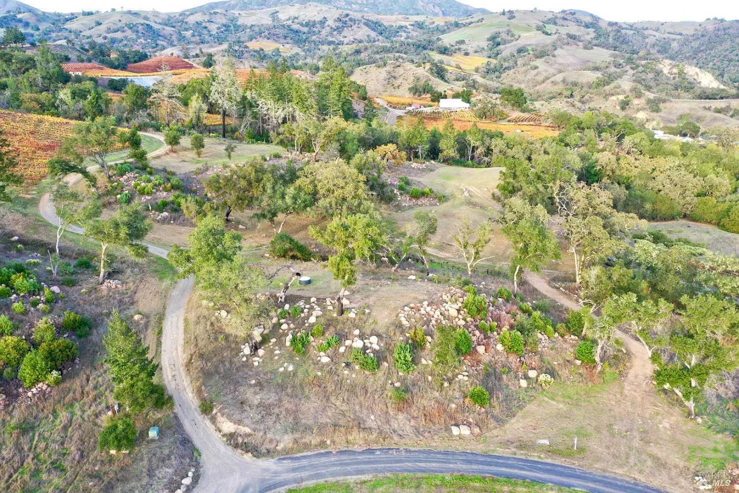 577 Artisan Circle - Photo 5