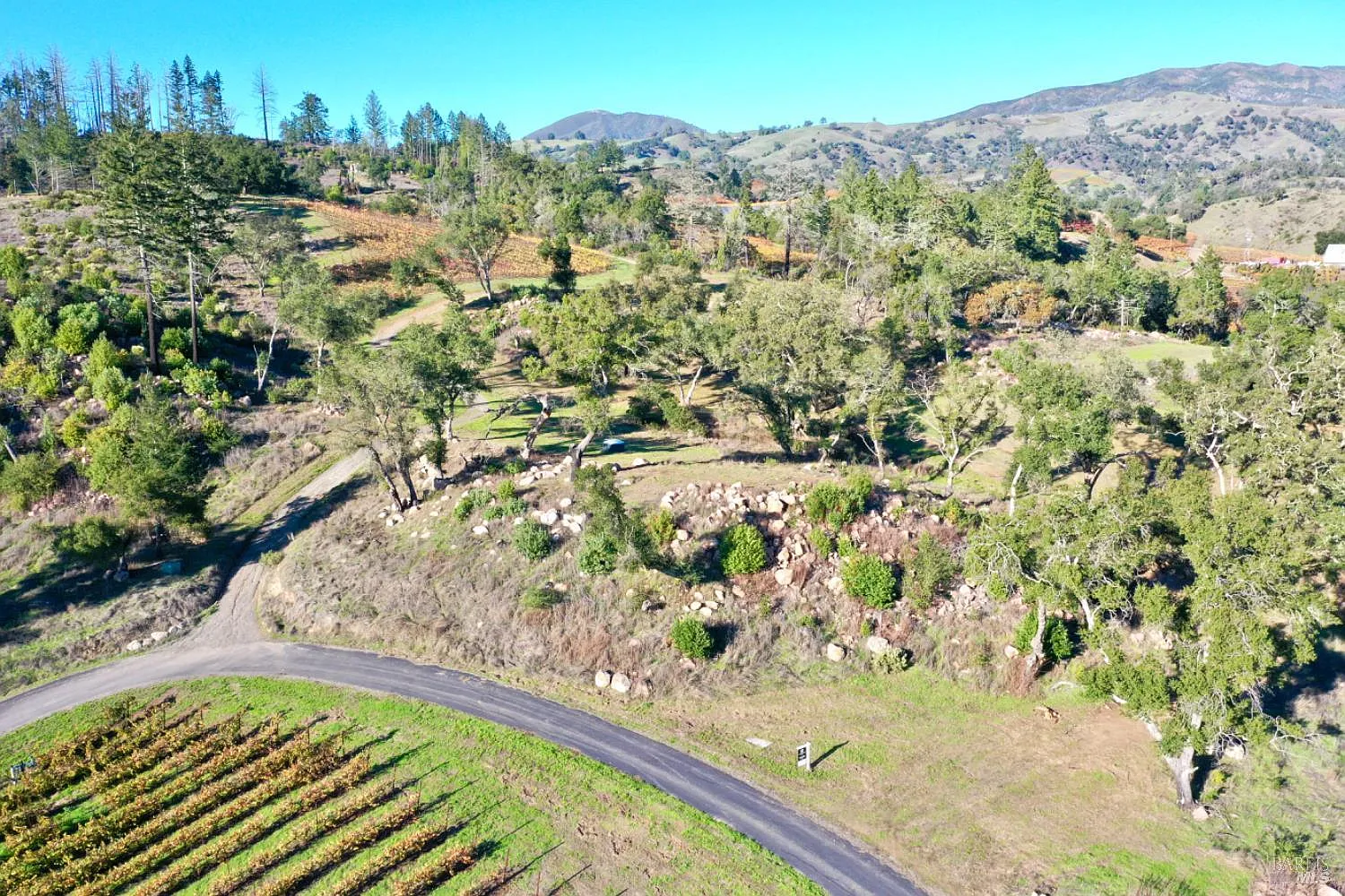 577 Artisan Circle - Photo 6