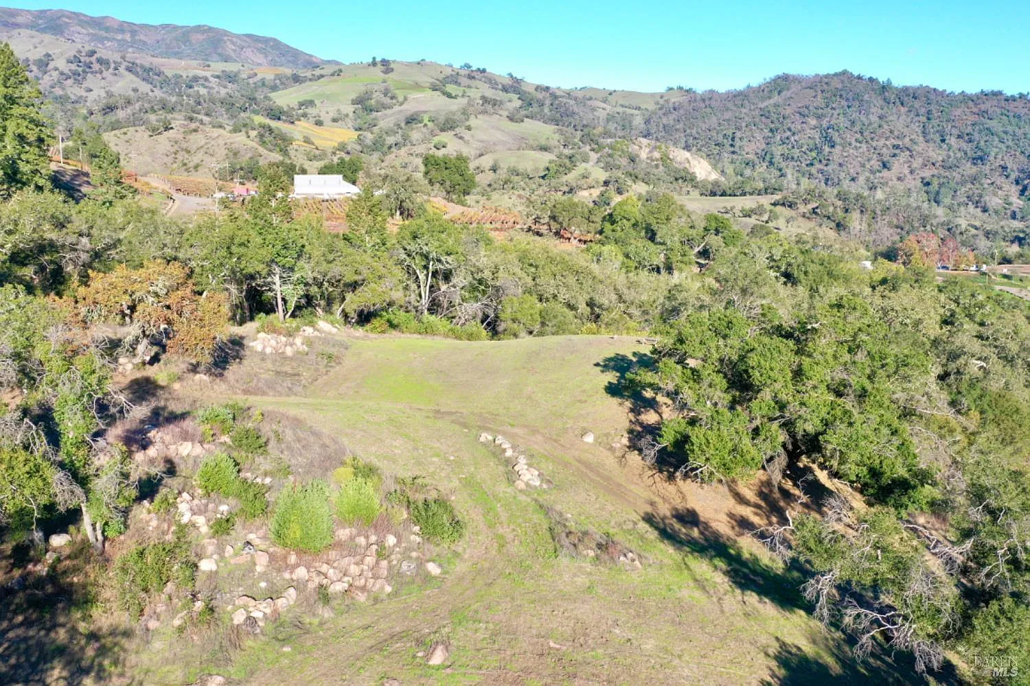 577 Artisan Circle - Photo 7