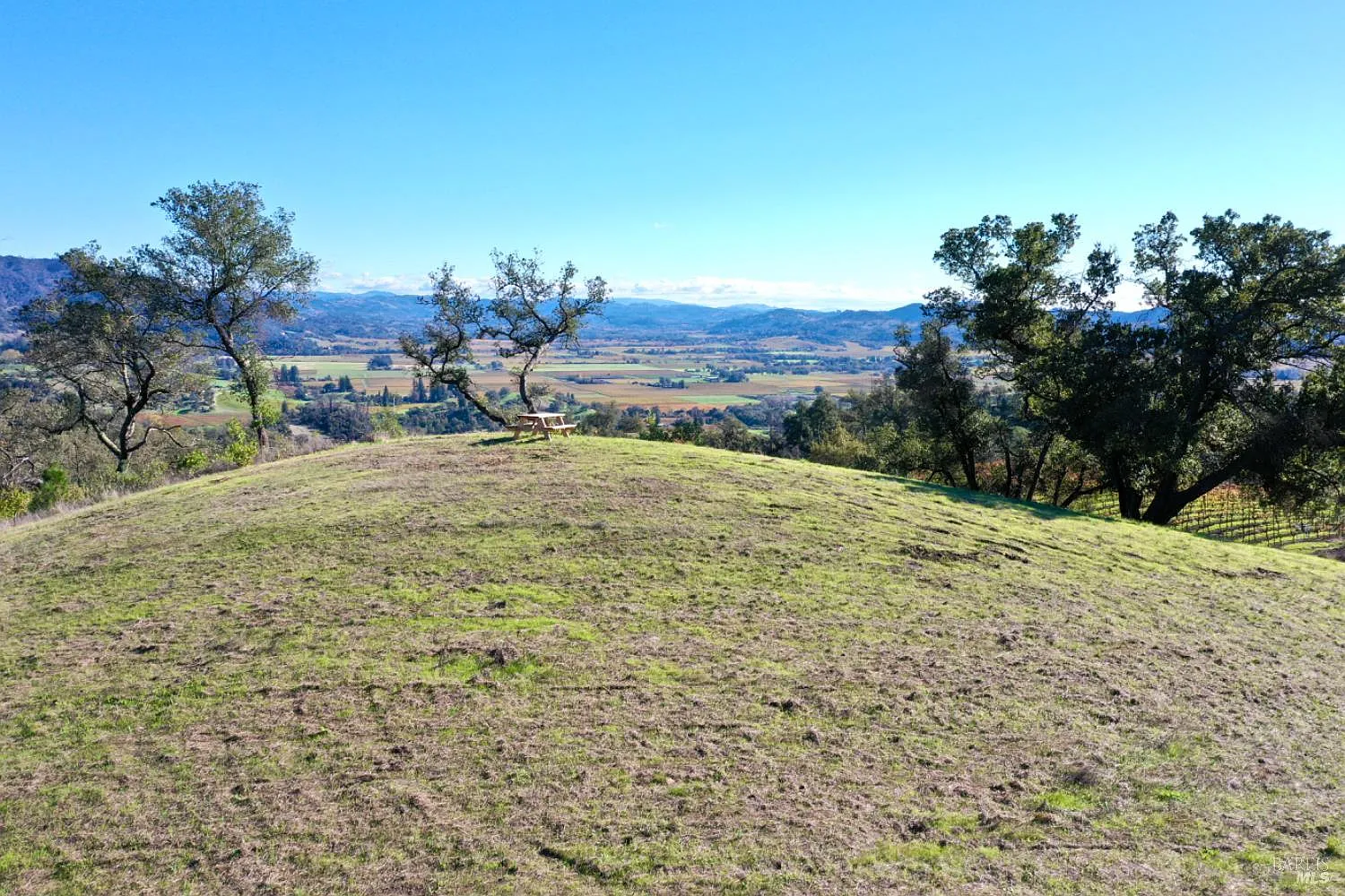577 Artisan Circle - Photo 8