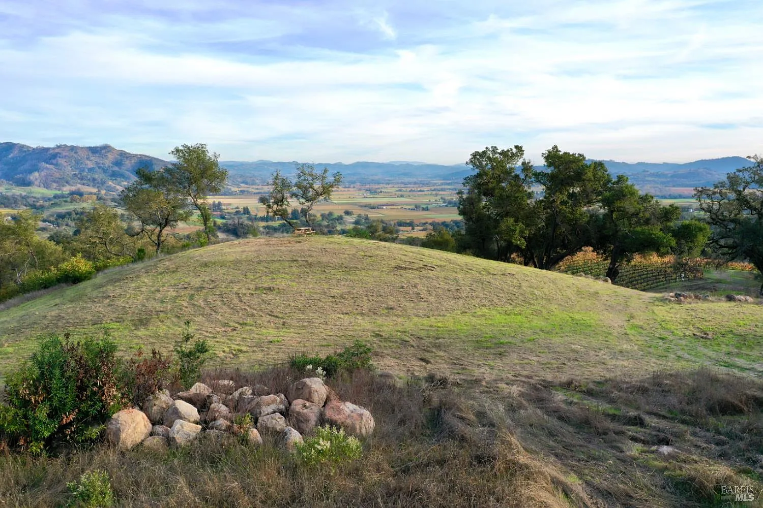 577 Artisan Circle - Photo 9