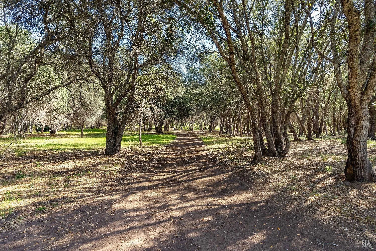 0 Franz Valley School Road - Photo 2
