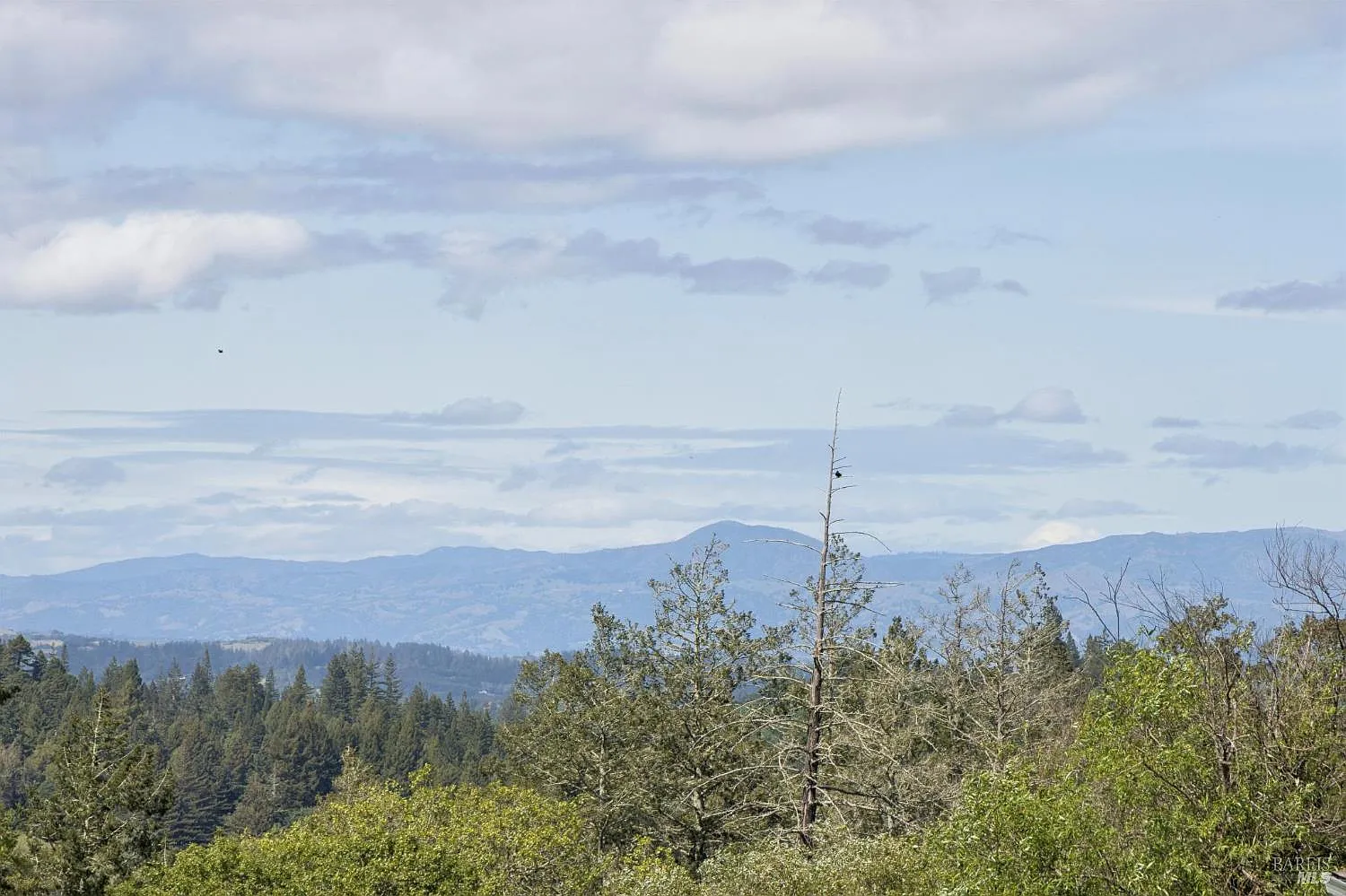 11740 Occidental Road - Photo 4
