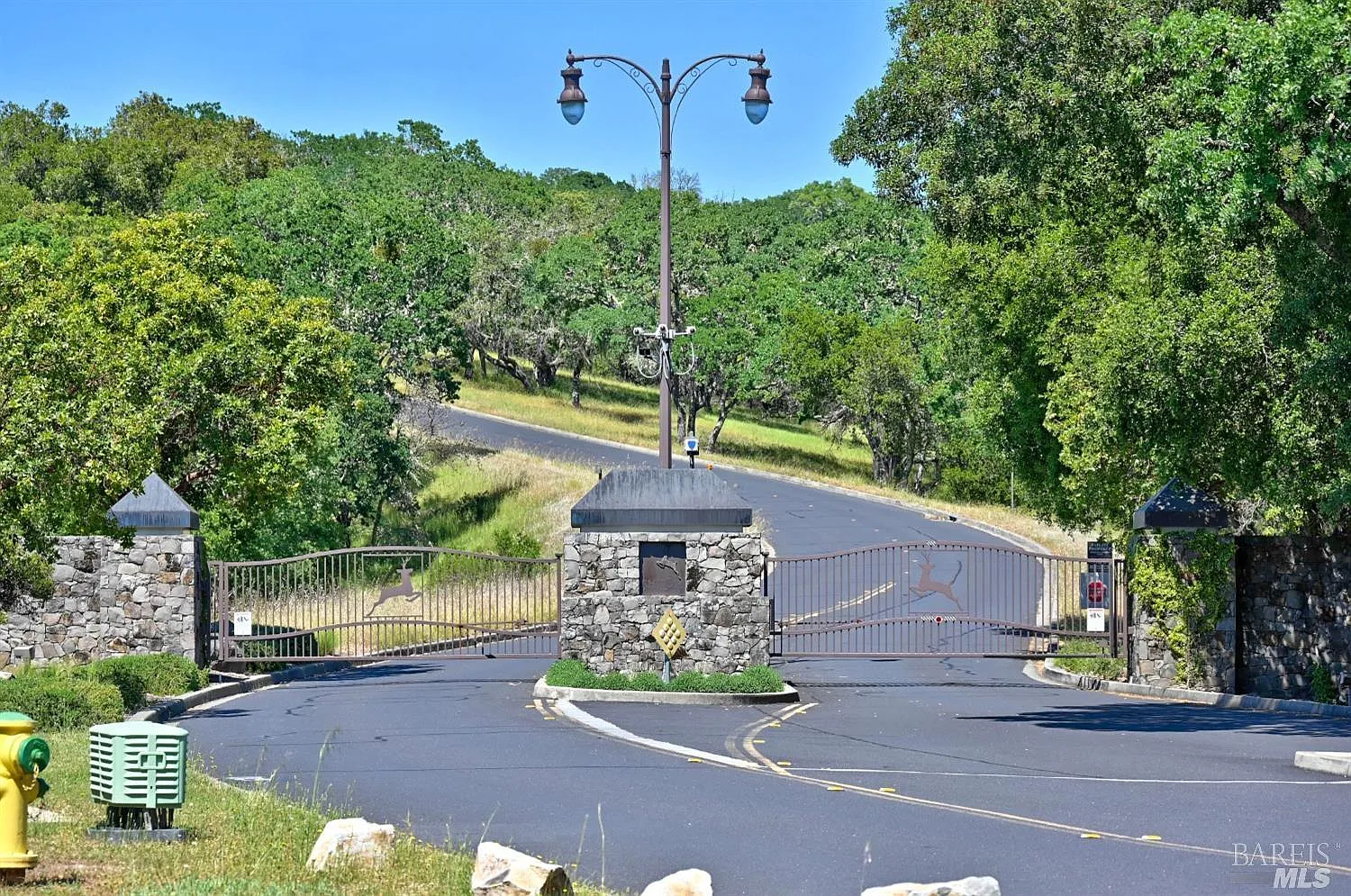 4801 Shiloh Ridge - Photo 2