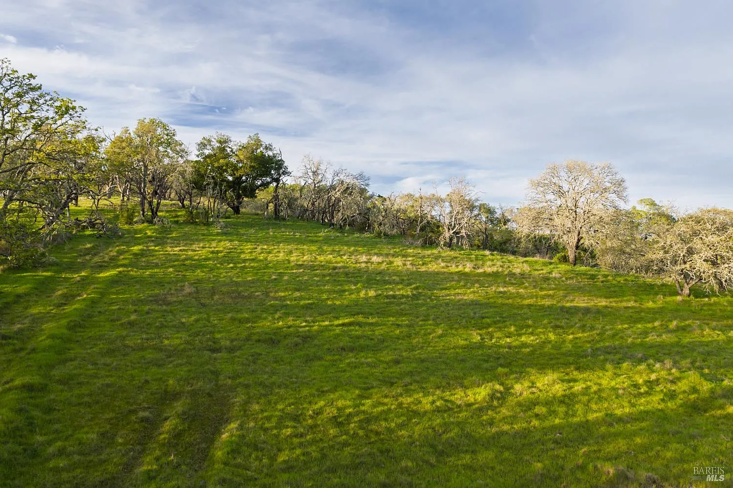 4801 Shiloh Ridge - Photo 11