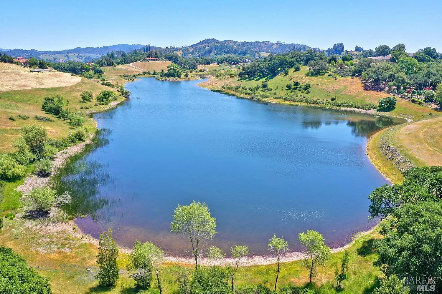 4801 Shiloh Ridge - Photo 3