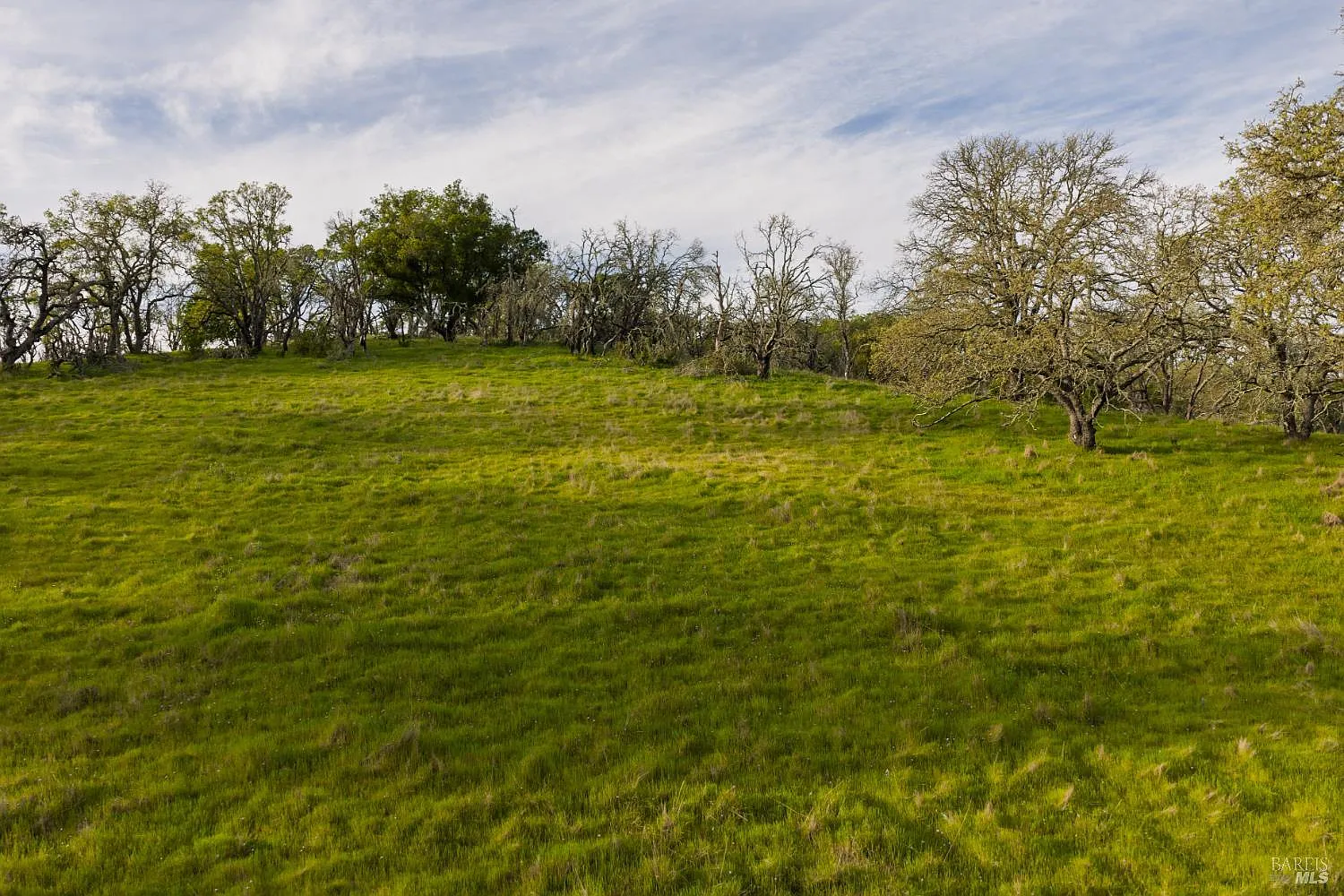4801 Shiloh Ridge - Photo 5