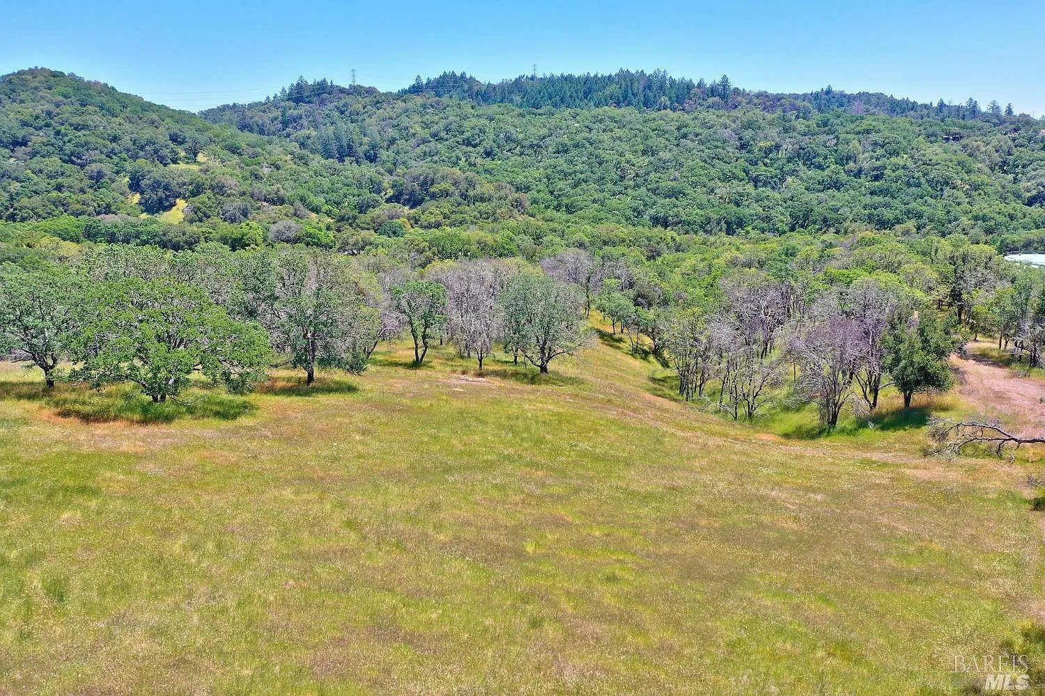 4801 Shiloh Ridge - Photo 6