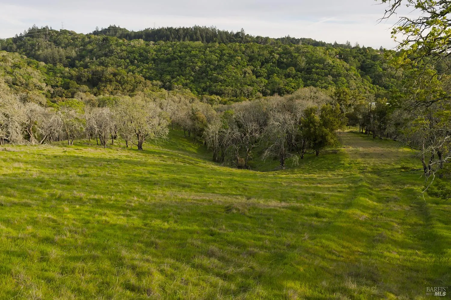 4801 Shiloh Ridge - Photo 7