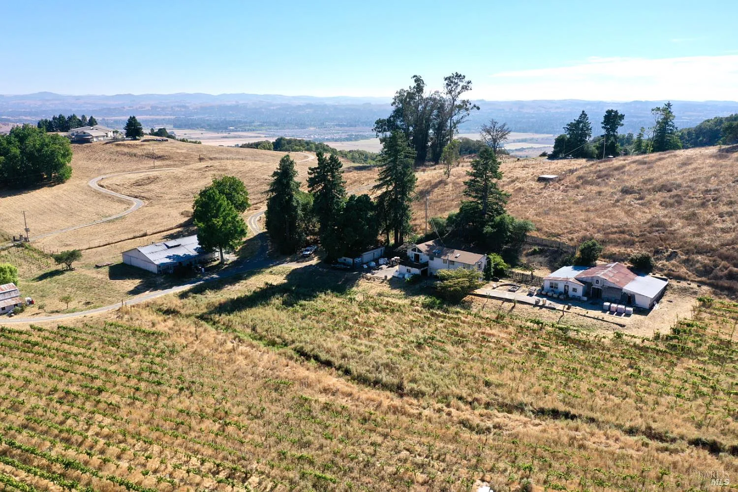 4889 Grange Road - Photo 8