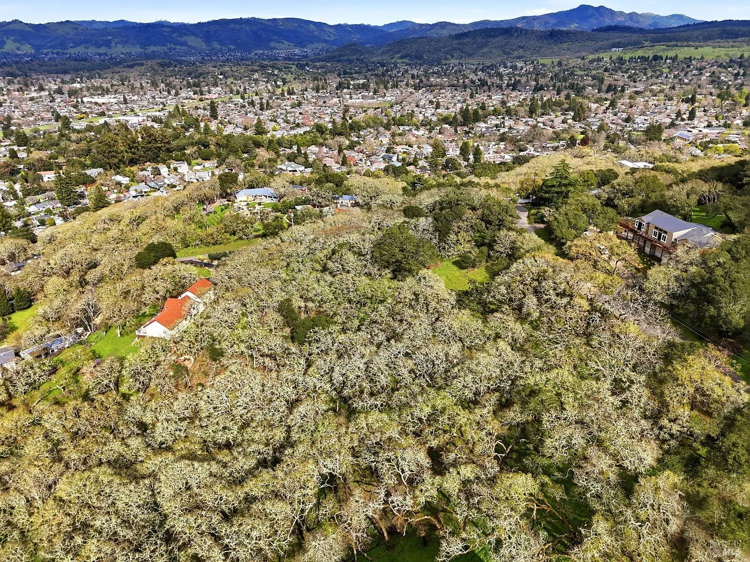 3494 Holland Drive - Photo 11