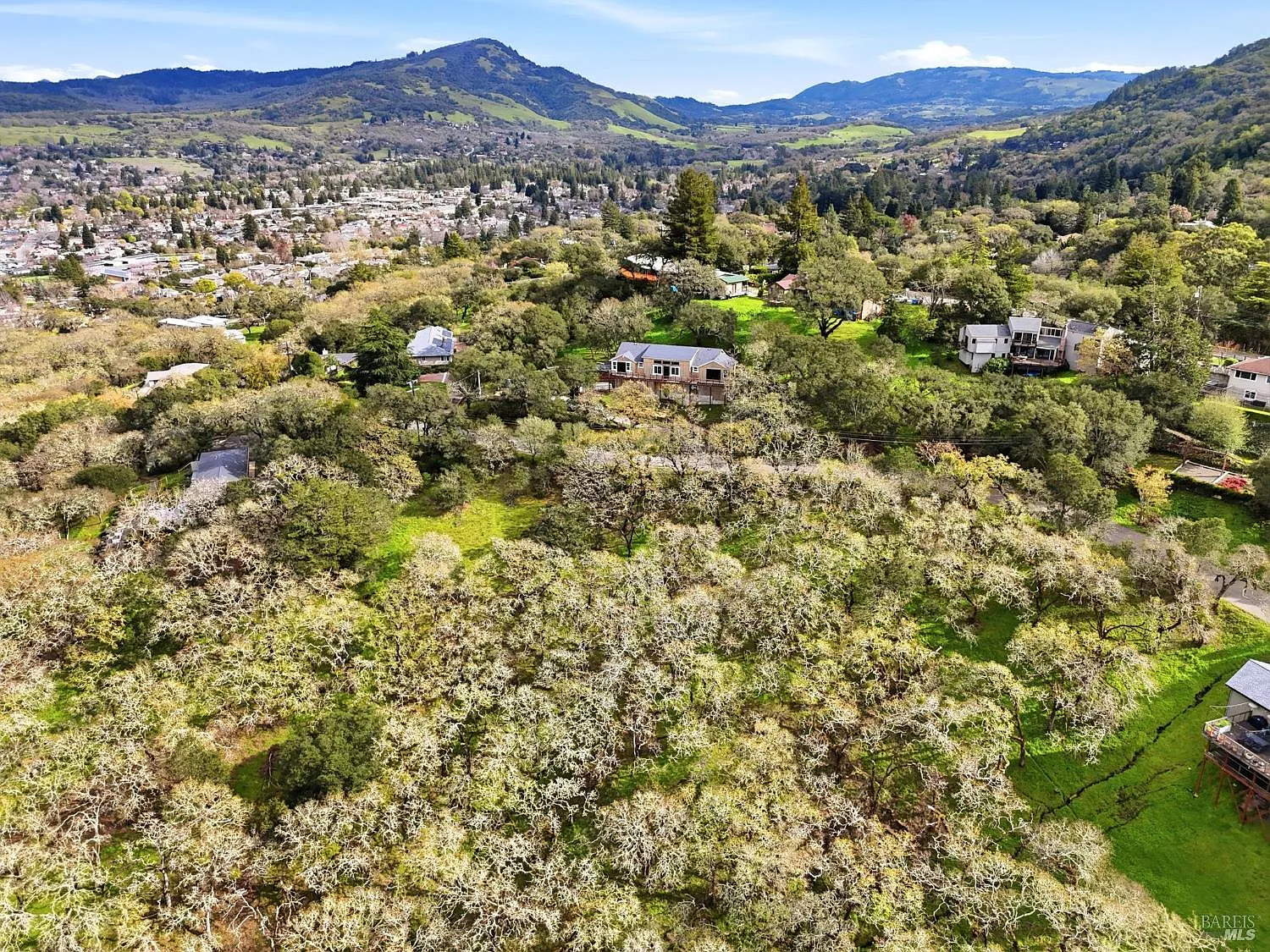 3494 Holland Drive - Photo 12