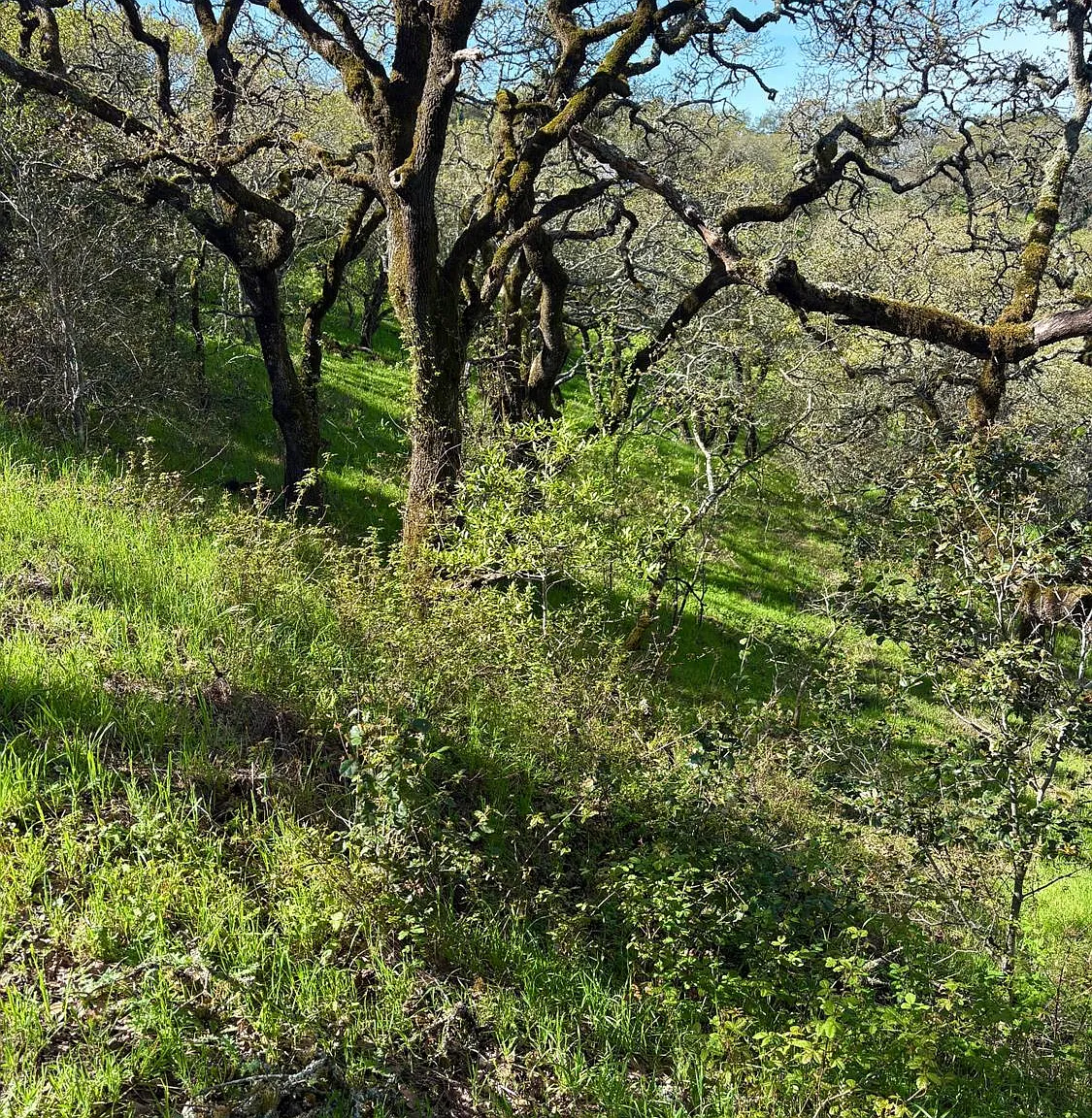 3494 Holland Drive - Photo 3