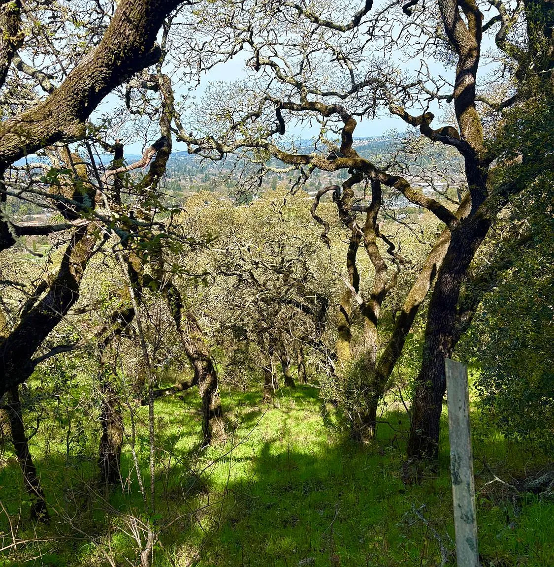 3494 Holland Drive - Photo 5