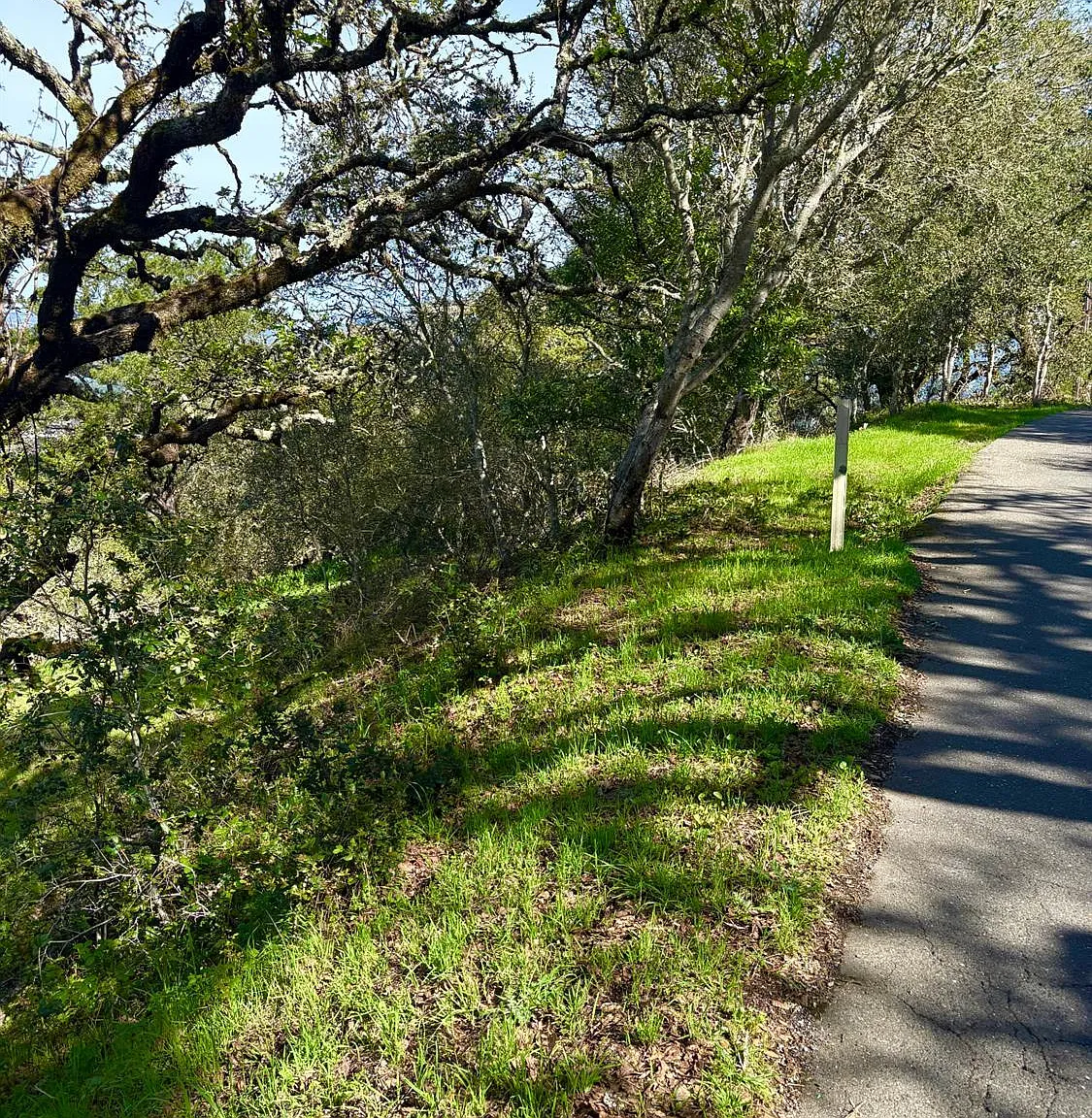 3494 Holland Drive - Photo 6