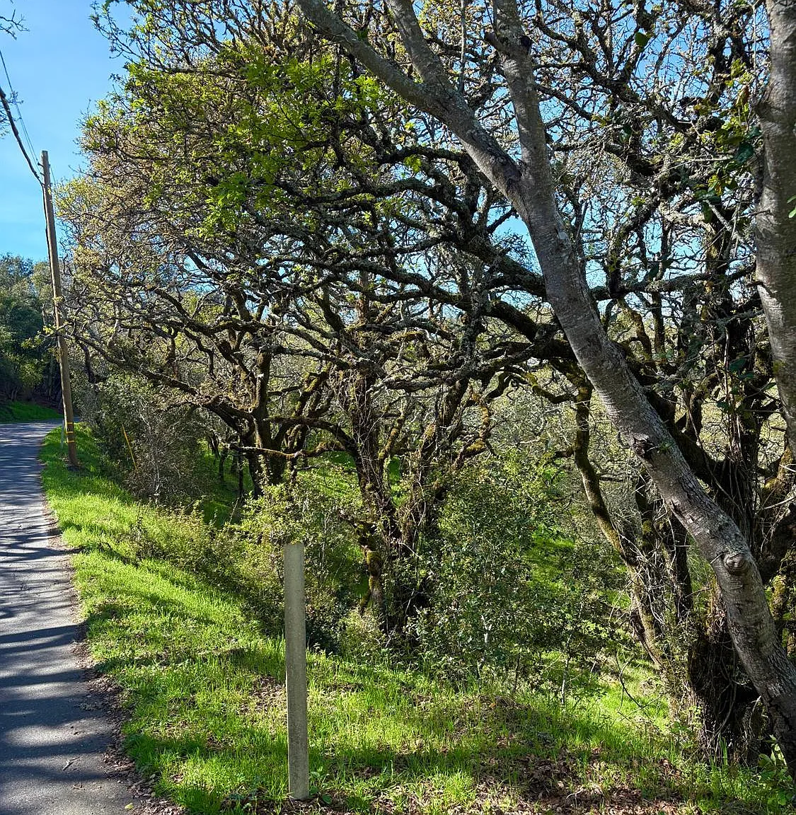 3494 Holland Drive - Photo 7