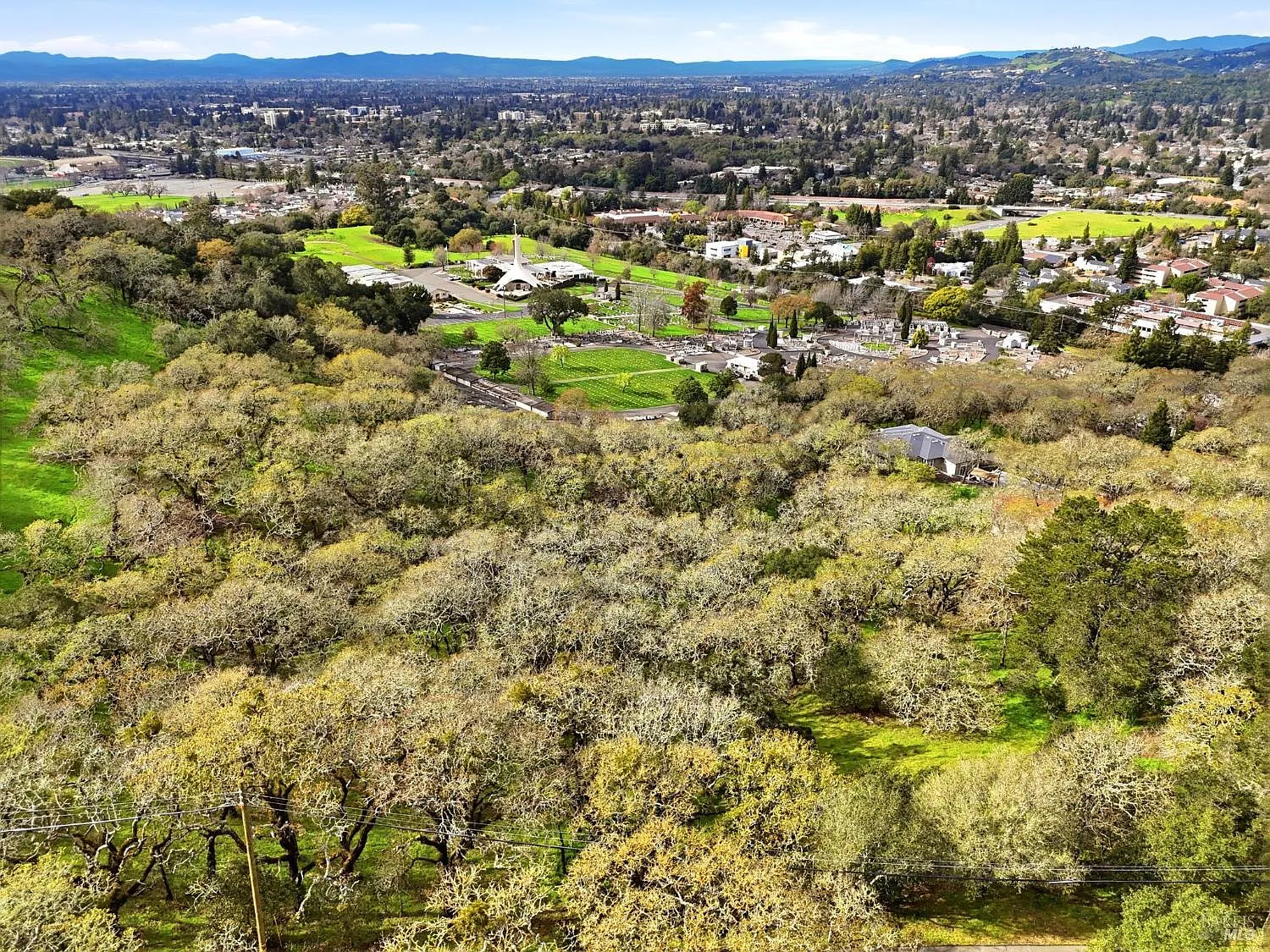 3494 Holland Drive - Photo 8