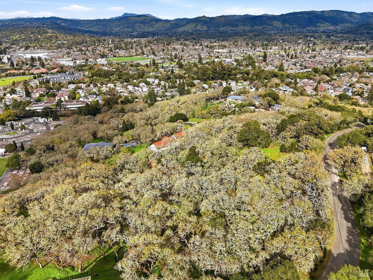 3494 Holland Drive - Photo 10