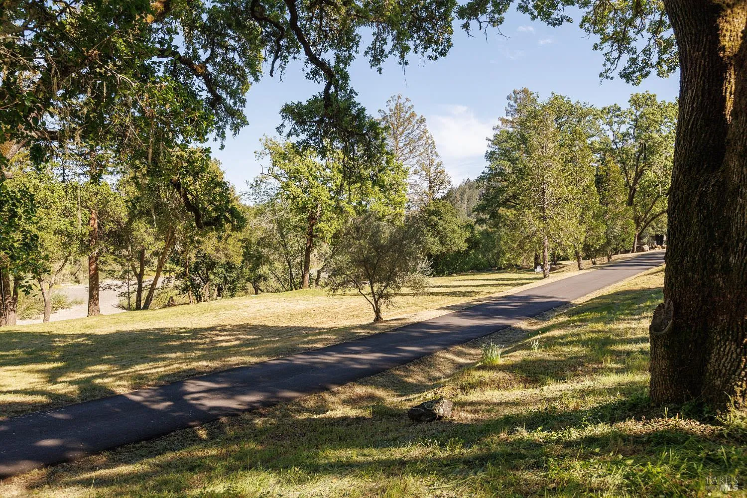 6225 W Soda Rock Lane - Photo 8