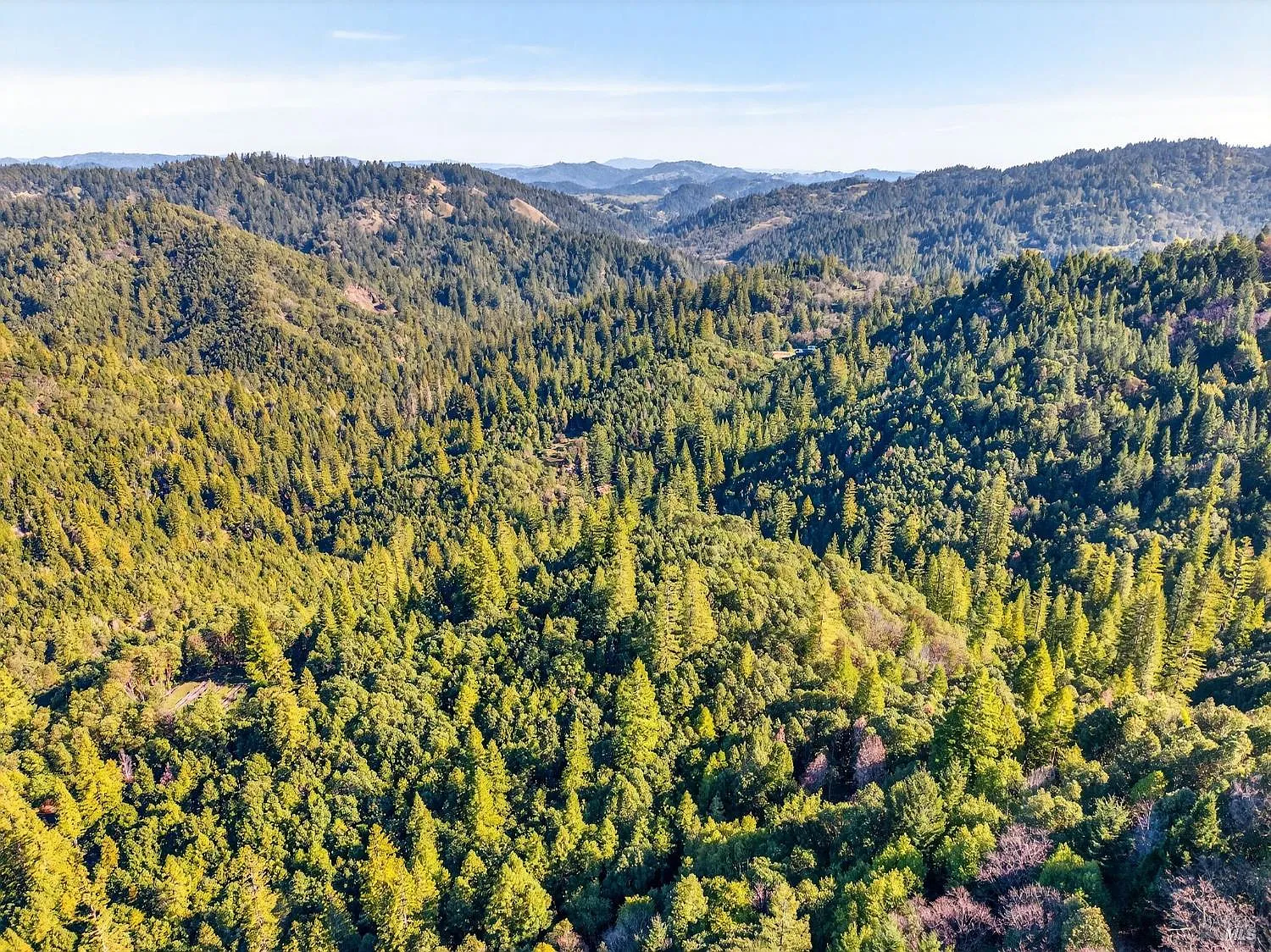 22510 Fort Ross Road - Photo 12