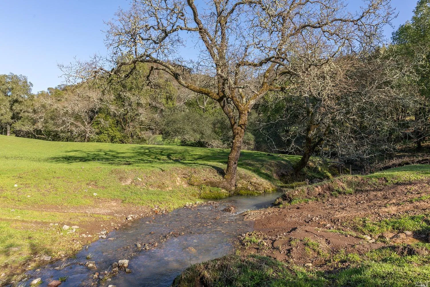 5285 Westside Road - Photo 10
