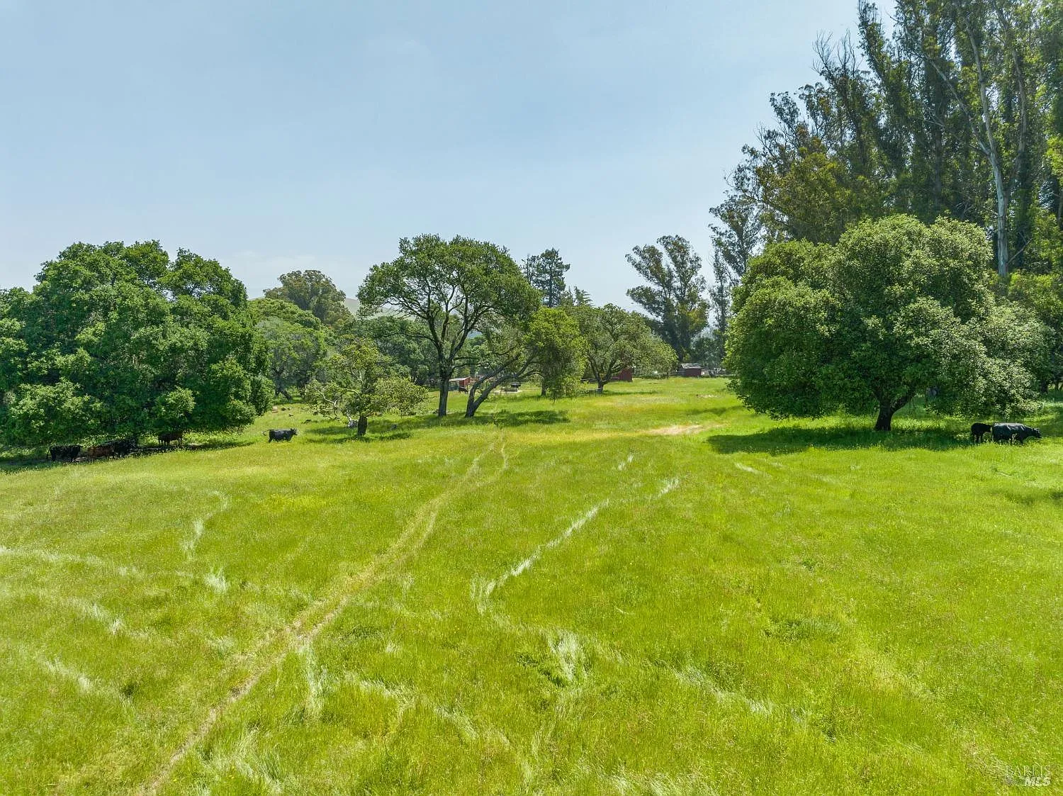 130 Jewett Road - Photo 11