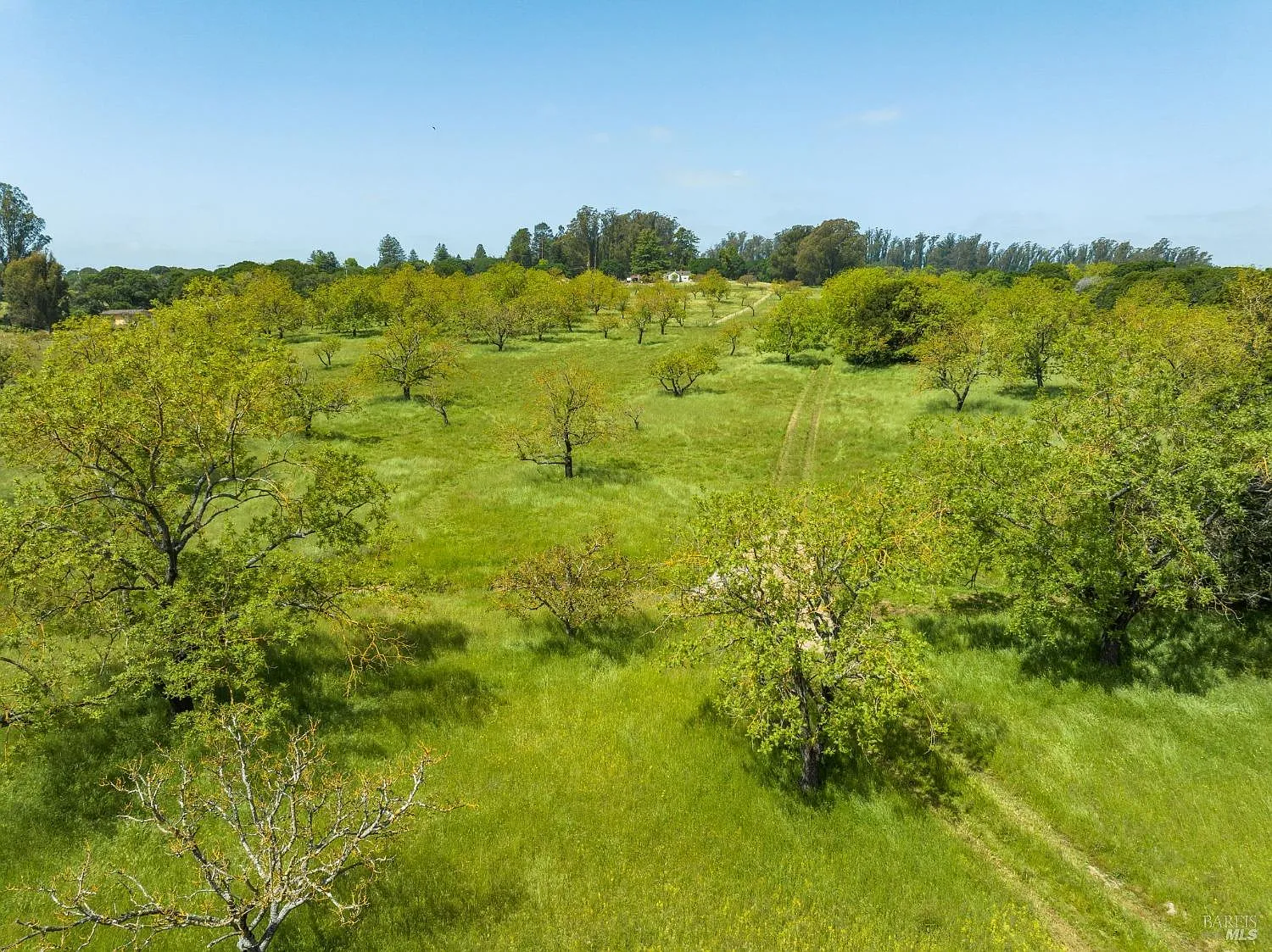 130 Jewett Road - Photo 6