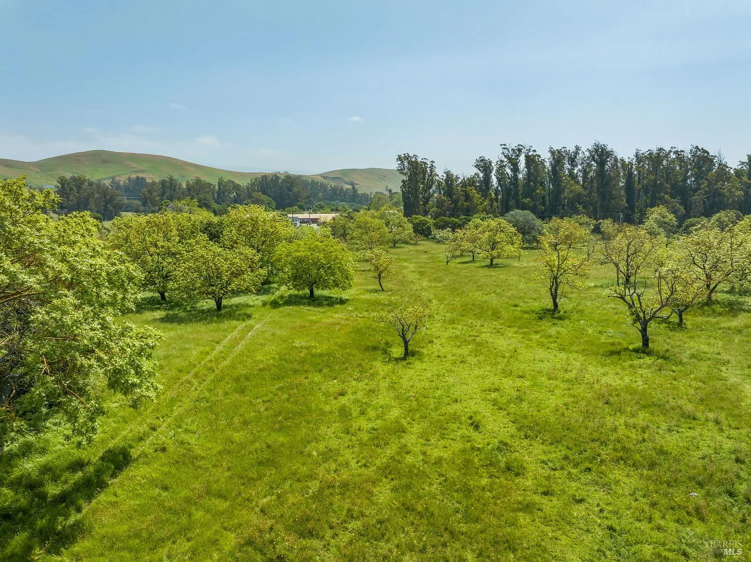 130 Jewett Road - Photo 8